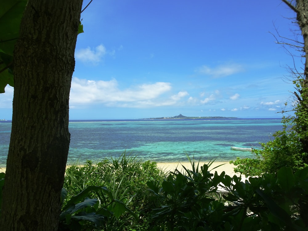 a view of the ocean from a beach