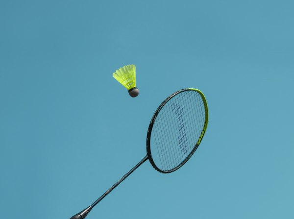 Badminton racket and shuttle