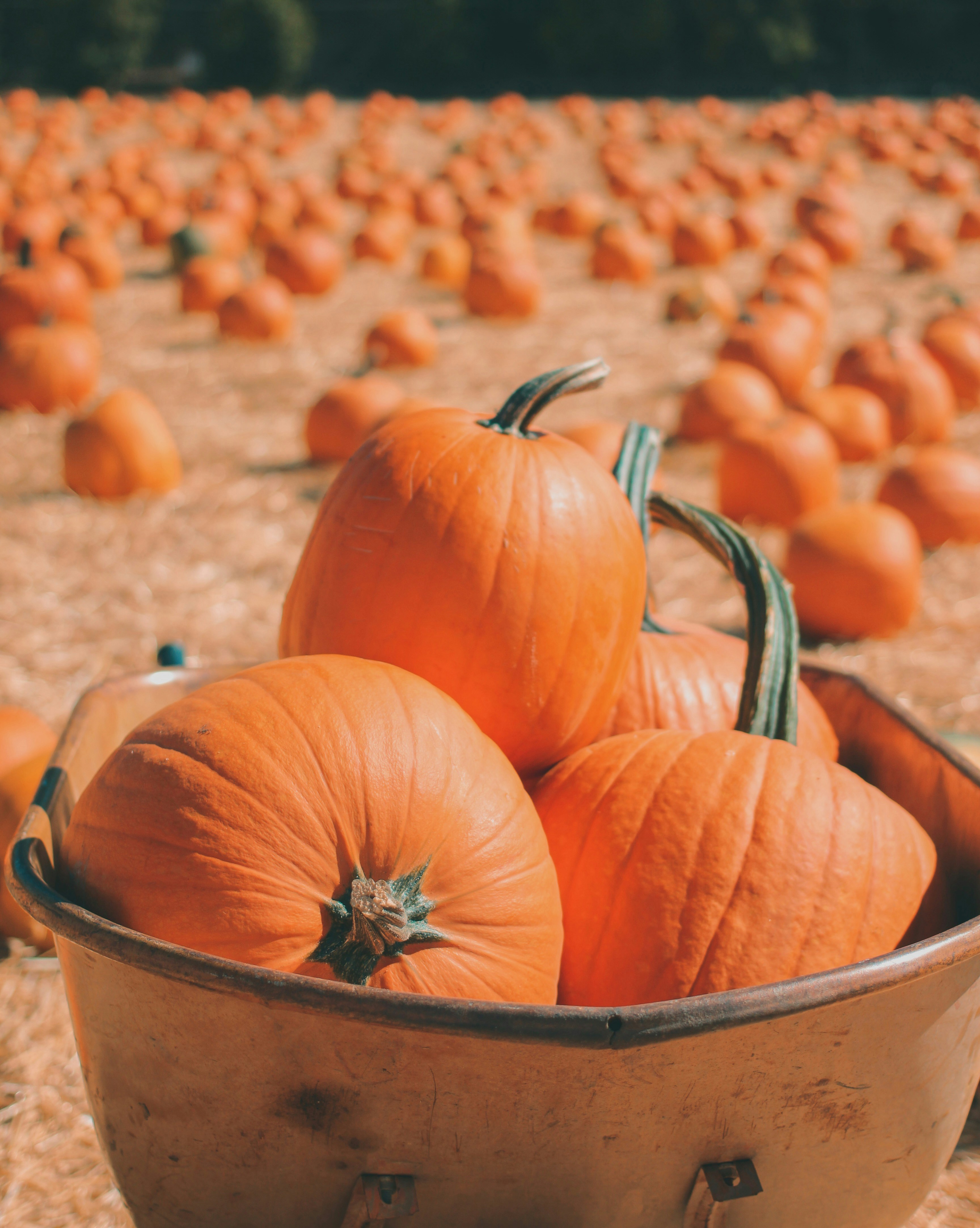 Photo by hesterqiang