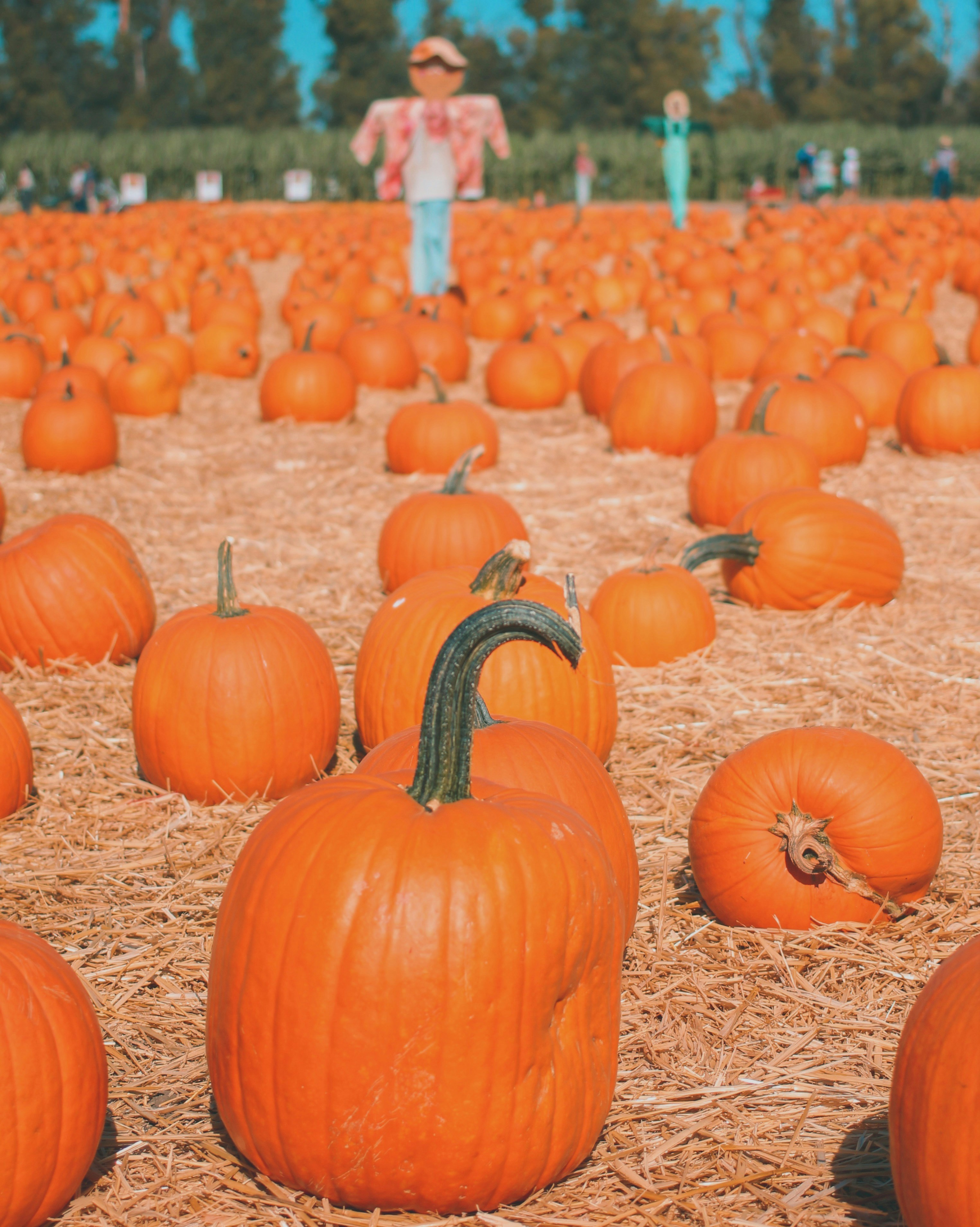 Photo by hesterqiang