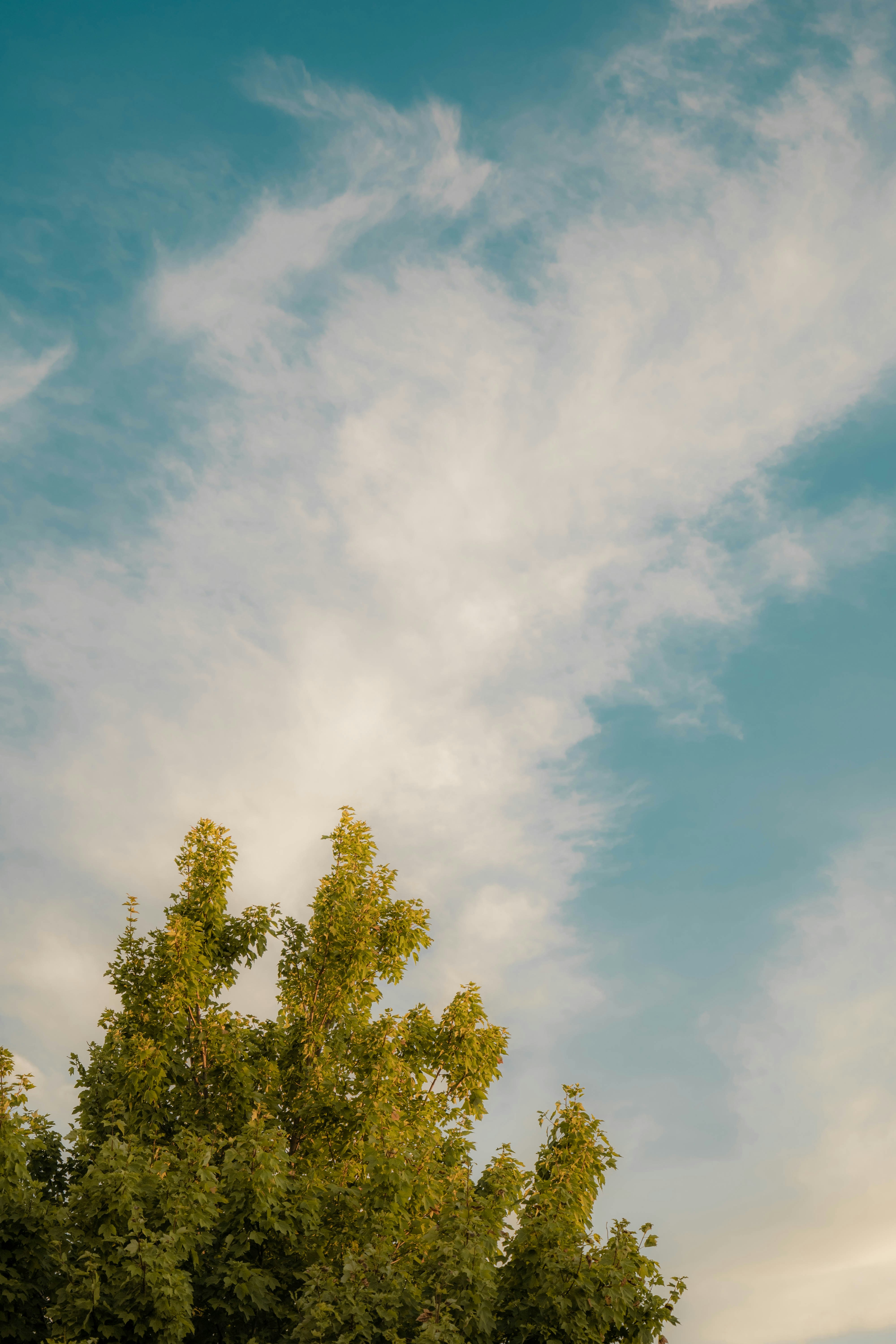 Photo by jaskirat_billing