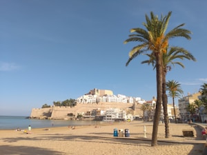 A scenic beach landscape features a sandy shore with a few people sunbathing and walking. Tall palm trees line the beach, and in the background, there is a picturesque town built on a hill with a medieval fortress overlooking the sea. The sky is clear and blue, creating a peaceful and sunny atmosphere.