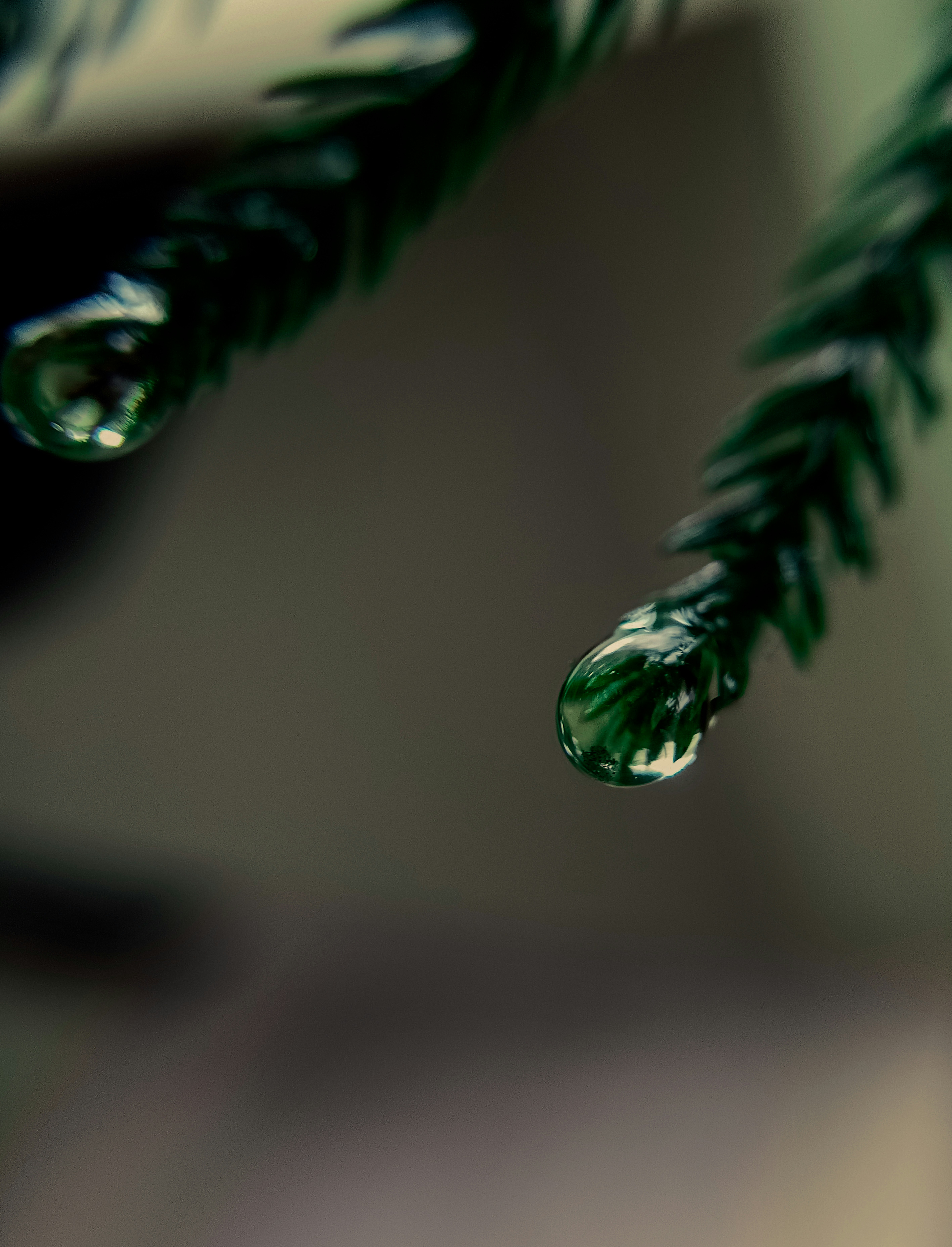 Photo by shenawaz_hussain