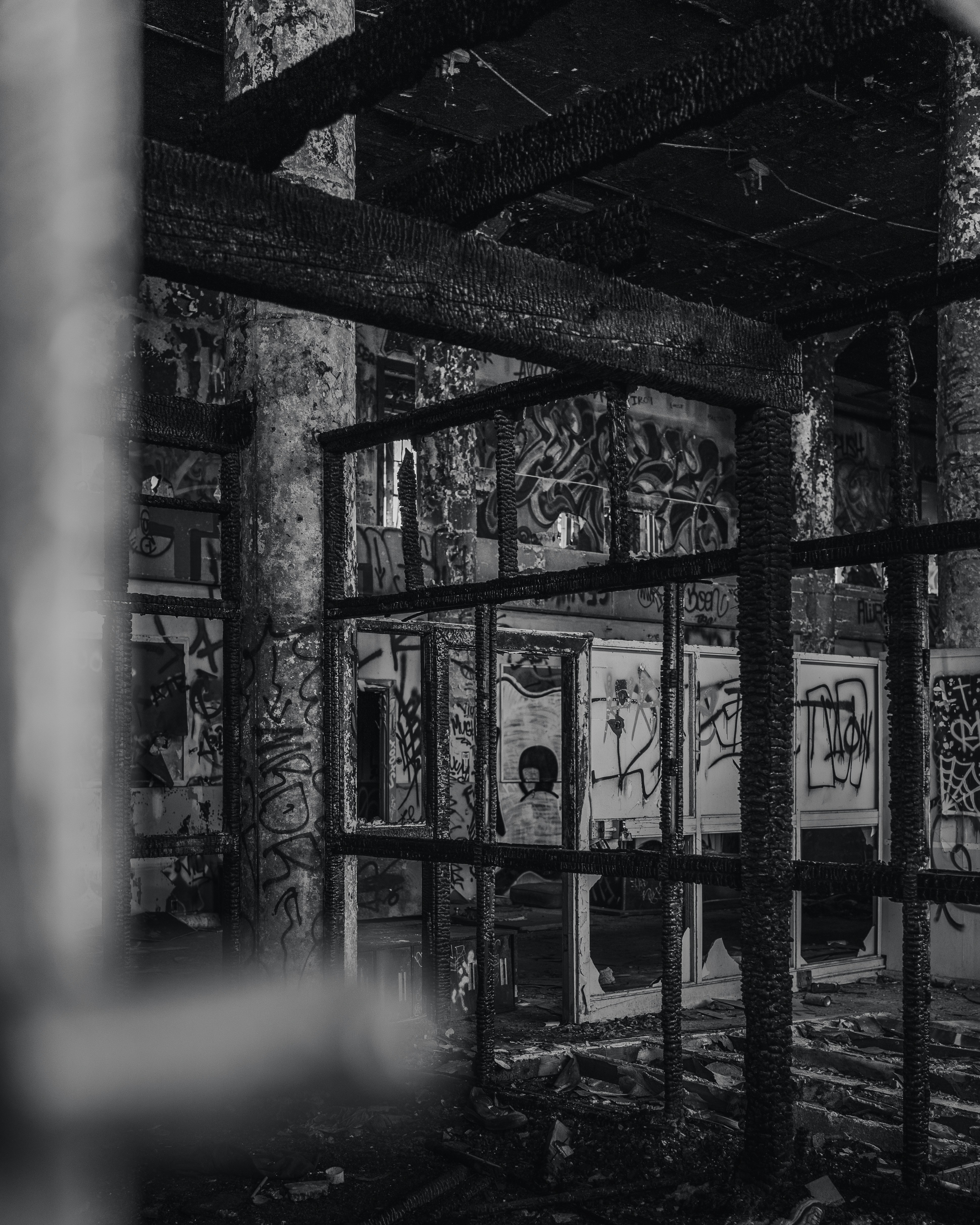 Photo by kalaniparker