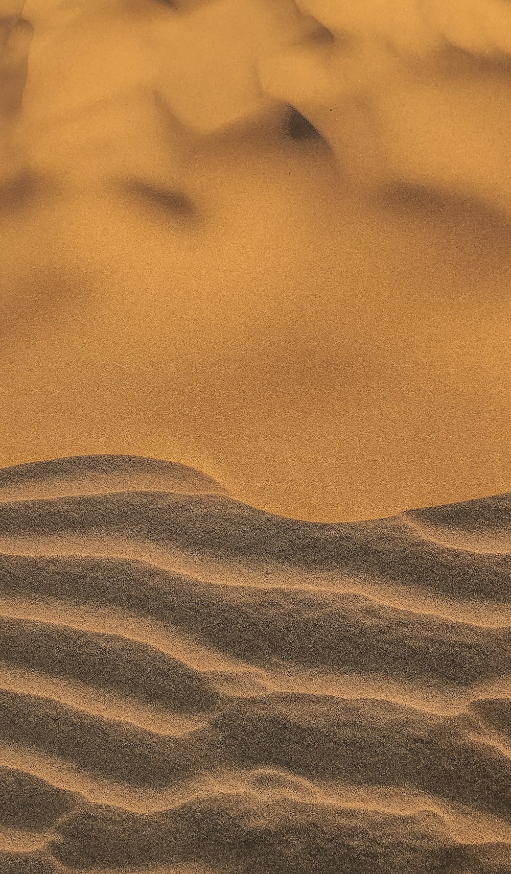 Un'immagine di un deserto con dune di sabbia