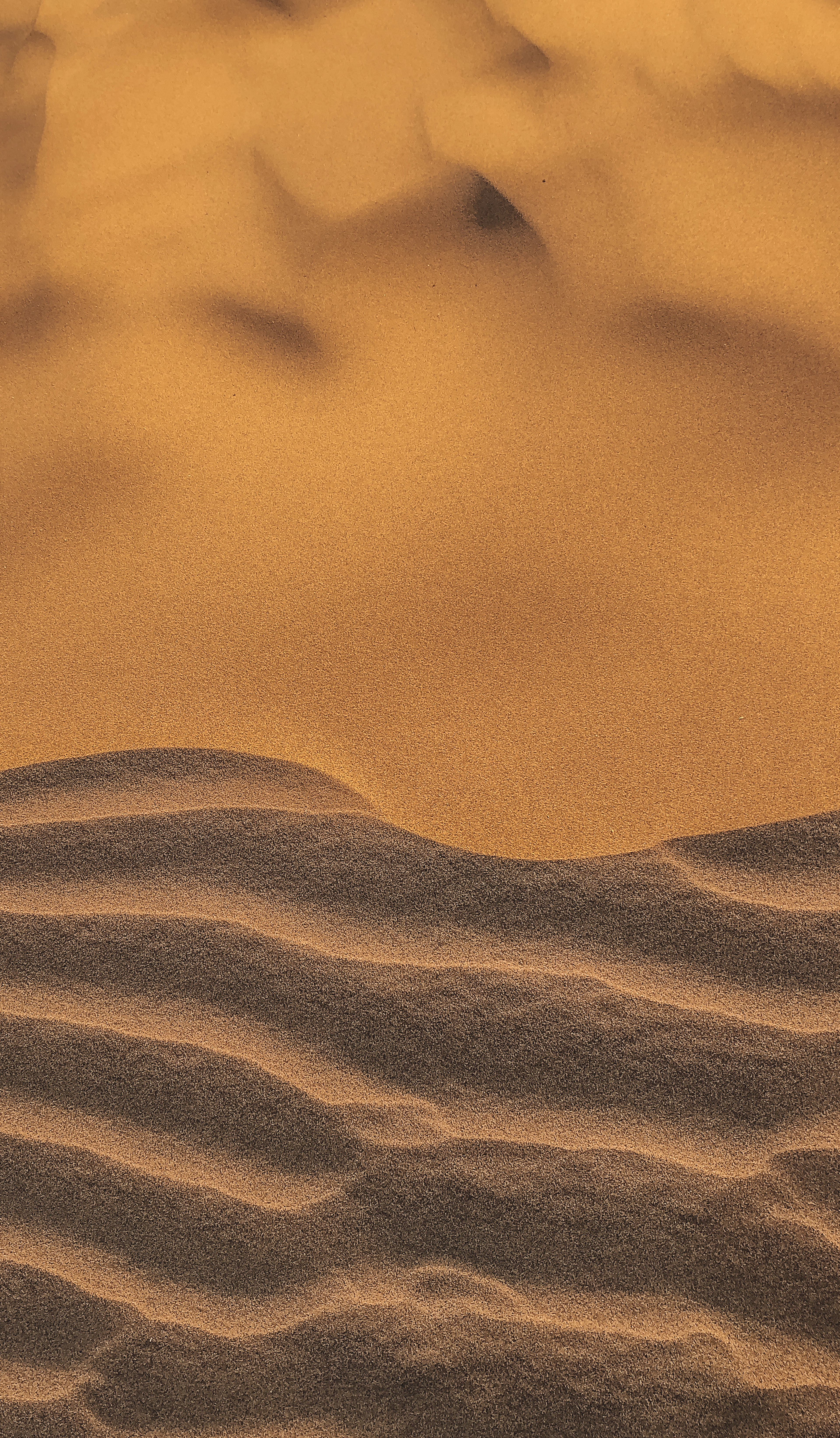 The Desert