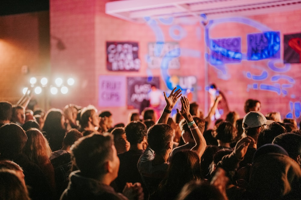 a large crowd of people at a concert