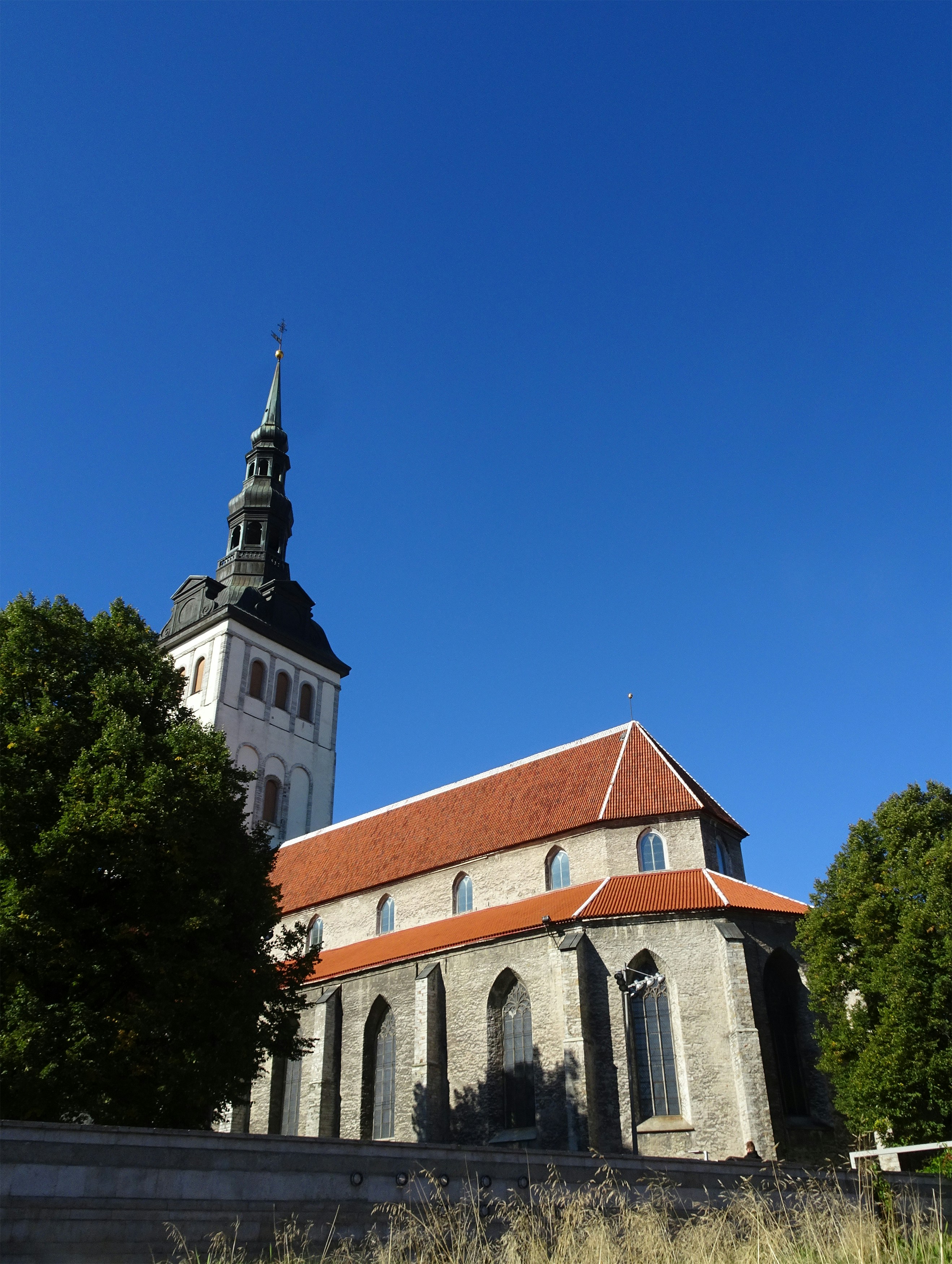 Photo by finn_staygold