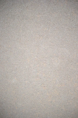 Close-up of freshly poured cement with smooth texture under natural light.