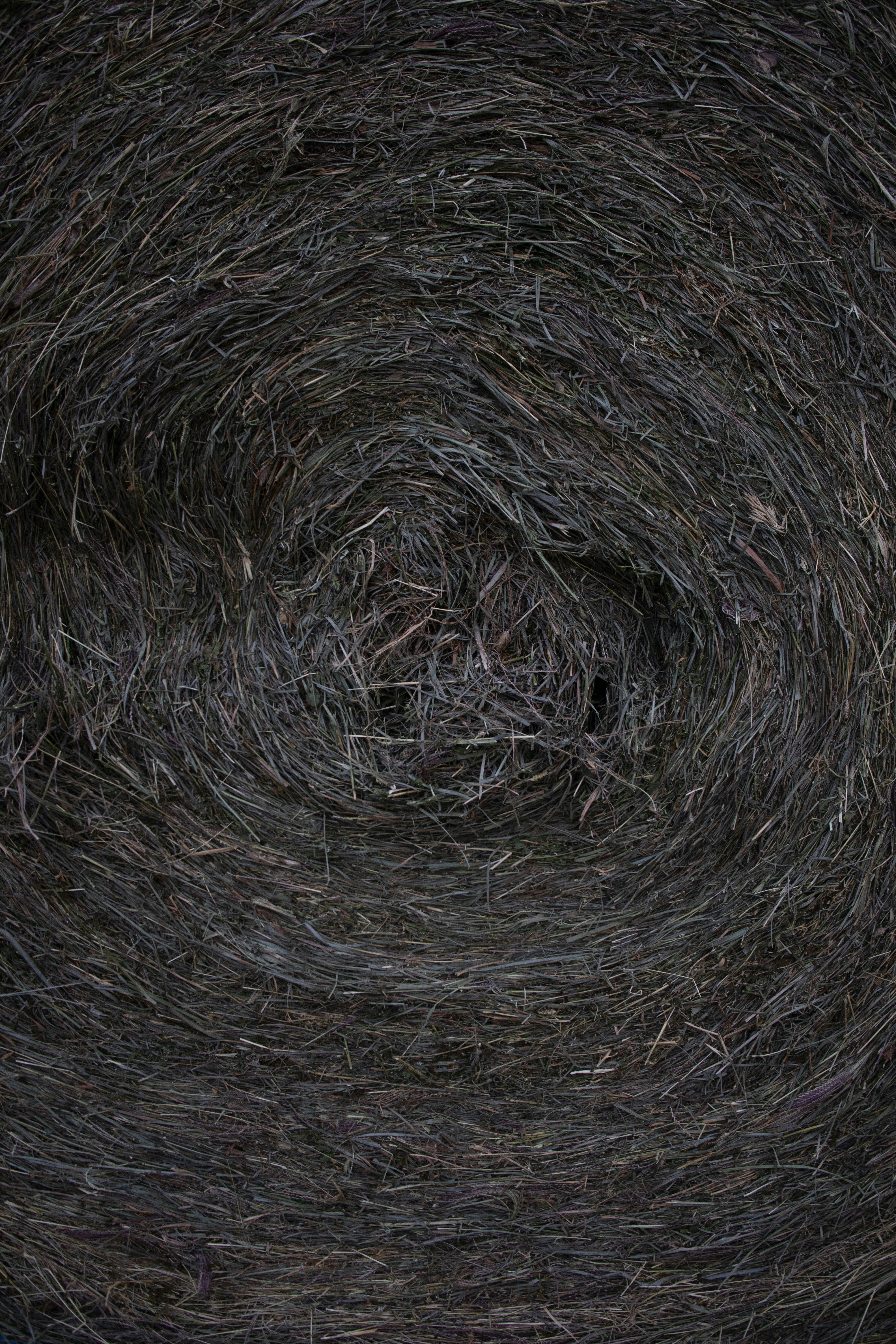 Circular Hay Bale Texture