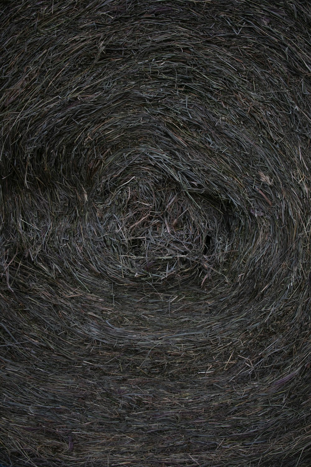 a close up of a bunch of hay
