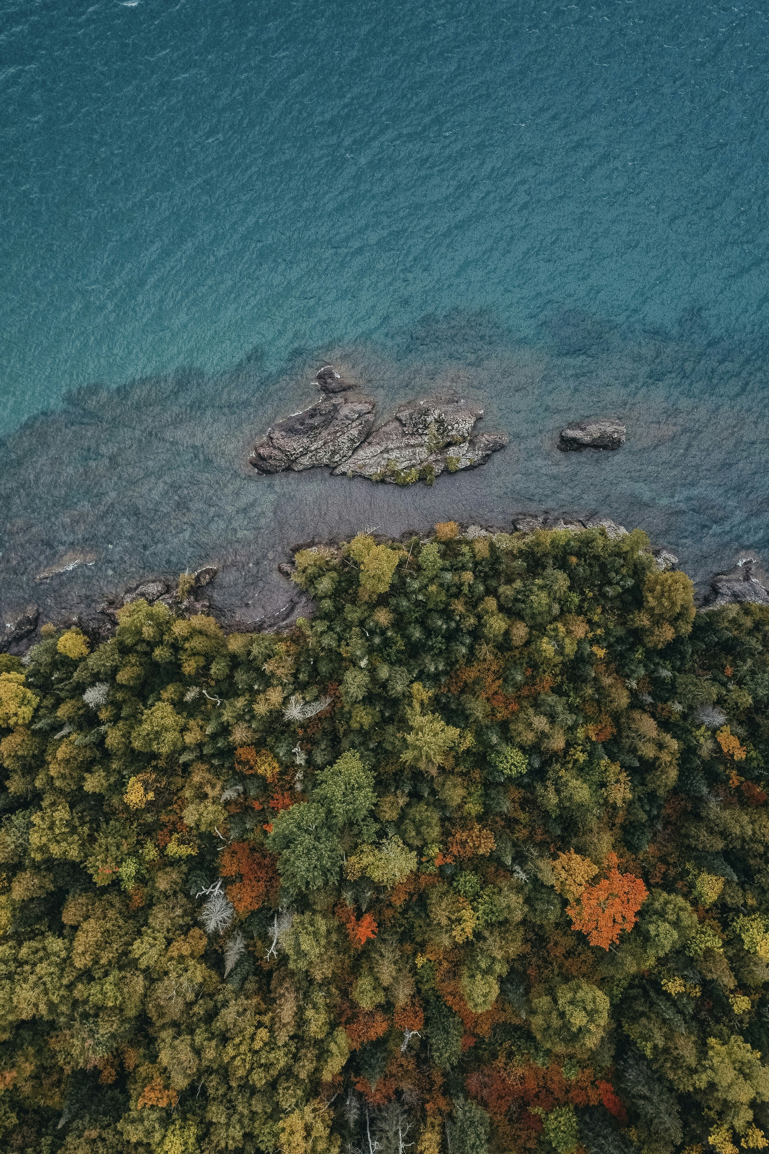 an aerial view of a lake surrounded by trees