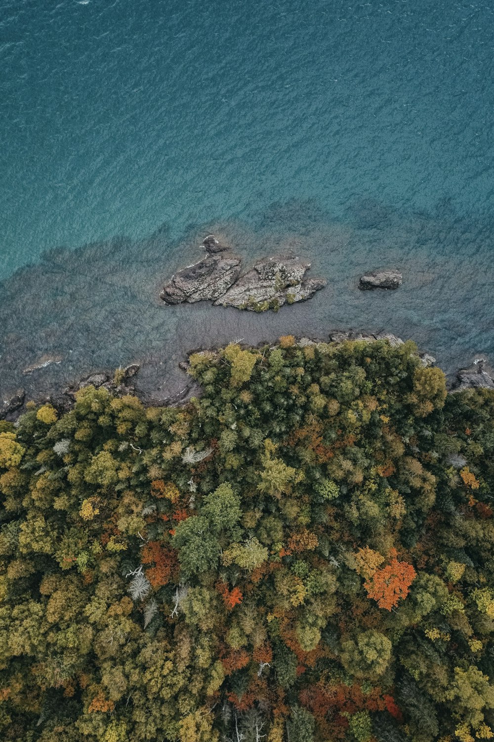 an aerial view of a lake surrounded by trees