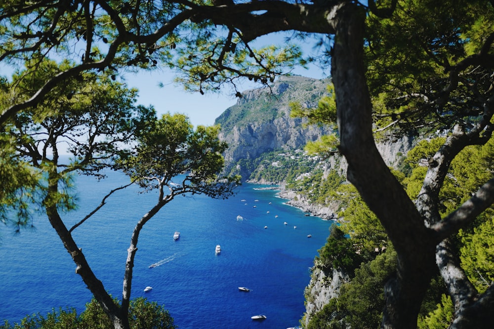 a group of boats floating on top of a body of water