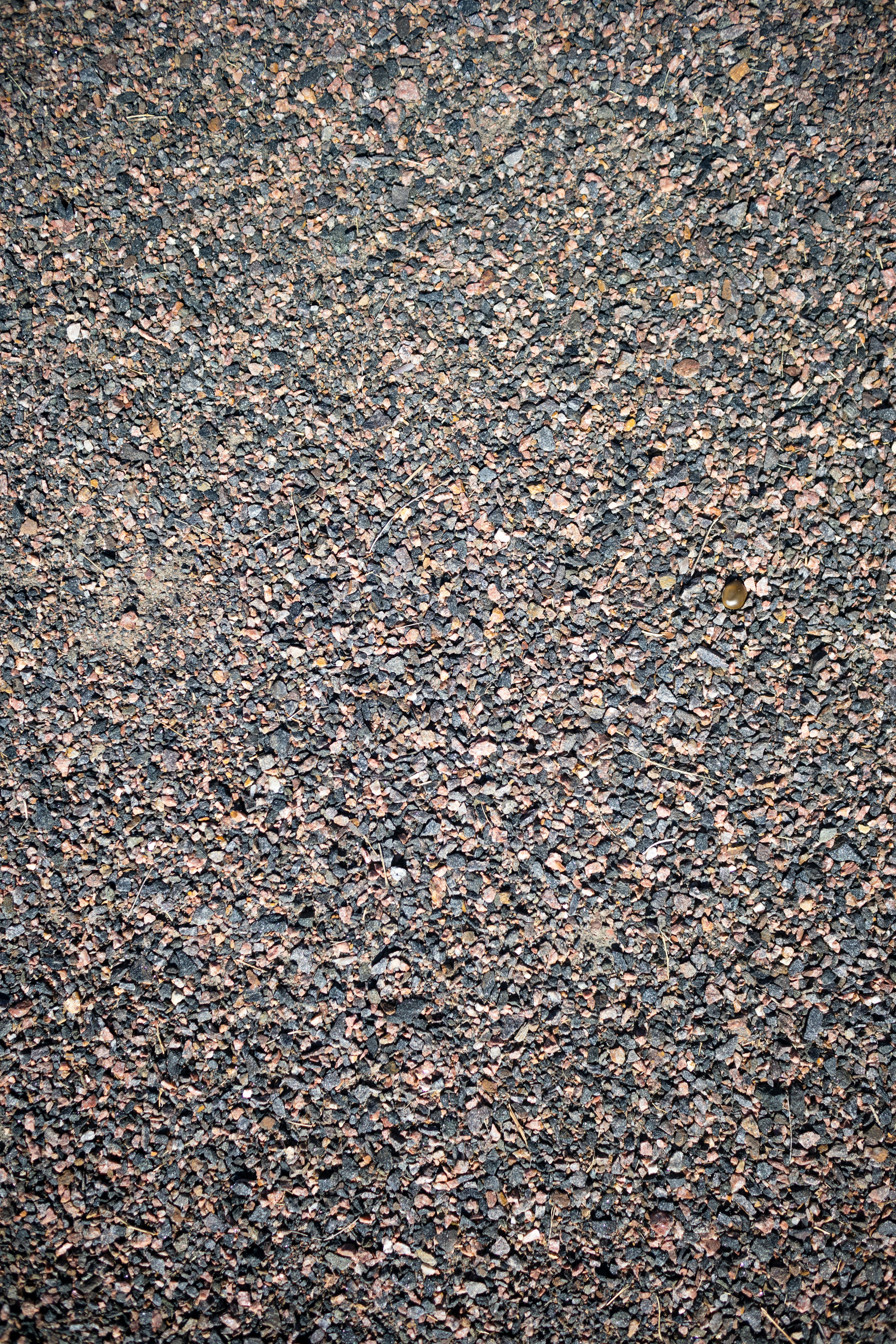 Savory snacks assortment