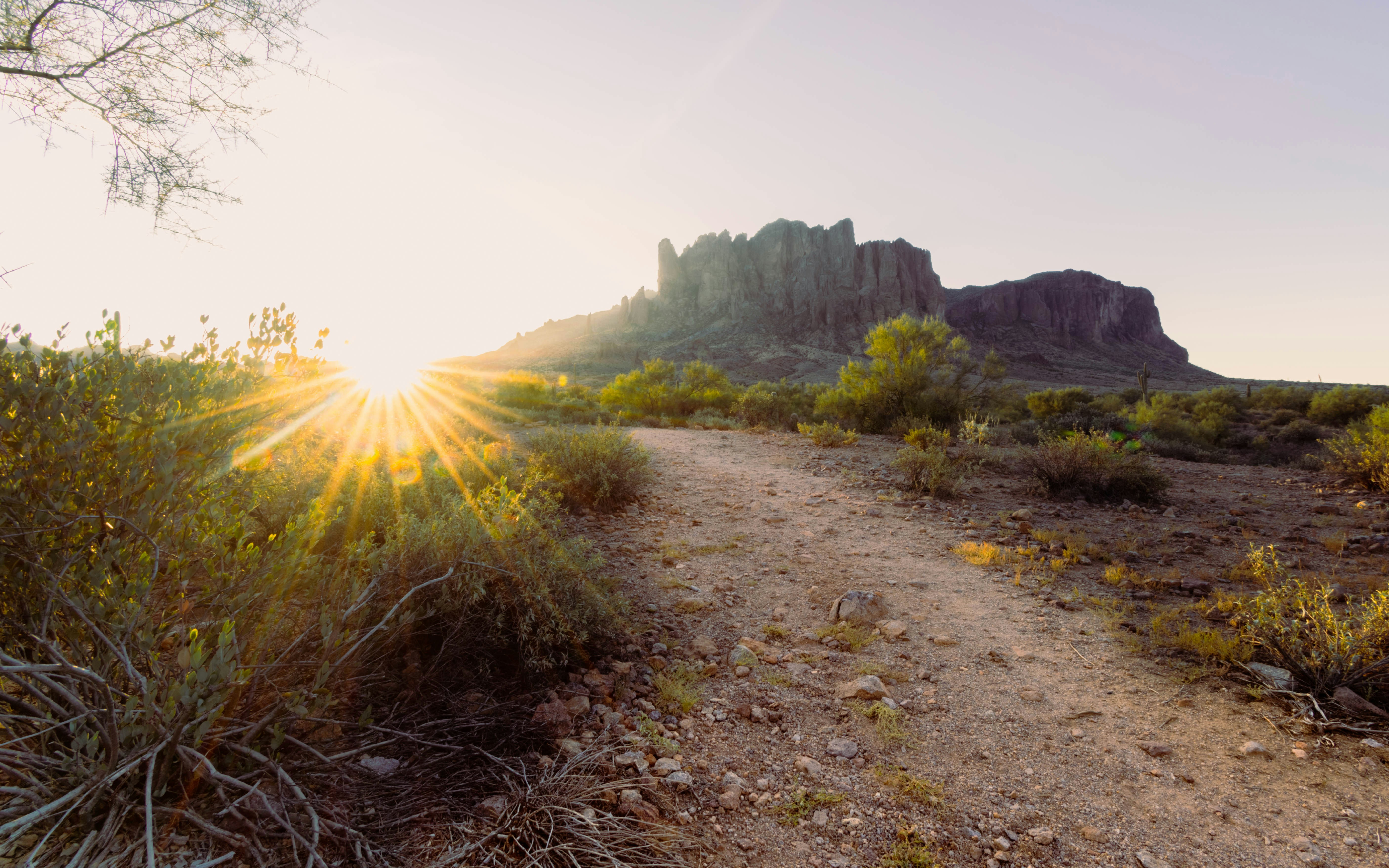 My Conversation with Angie Peacock
