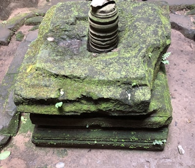A quiet moment showing natural stone markers surrounded by green moss.