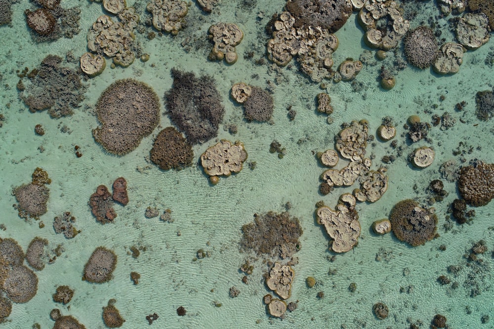 an aerial view of rocks and water in the ocean