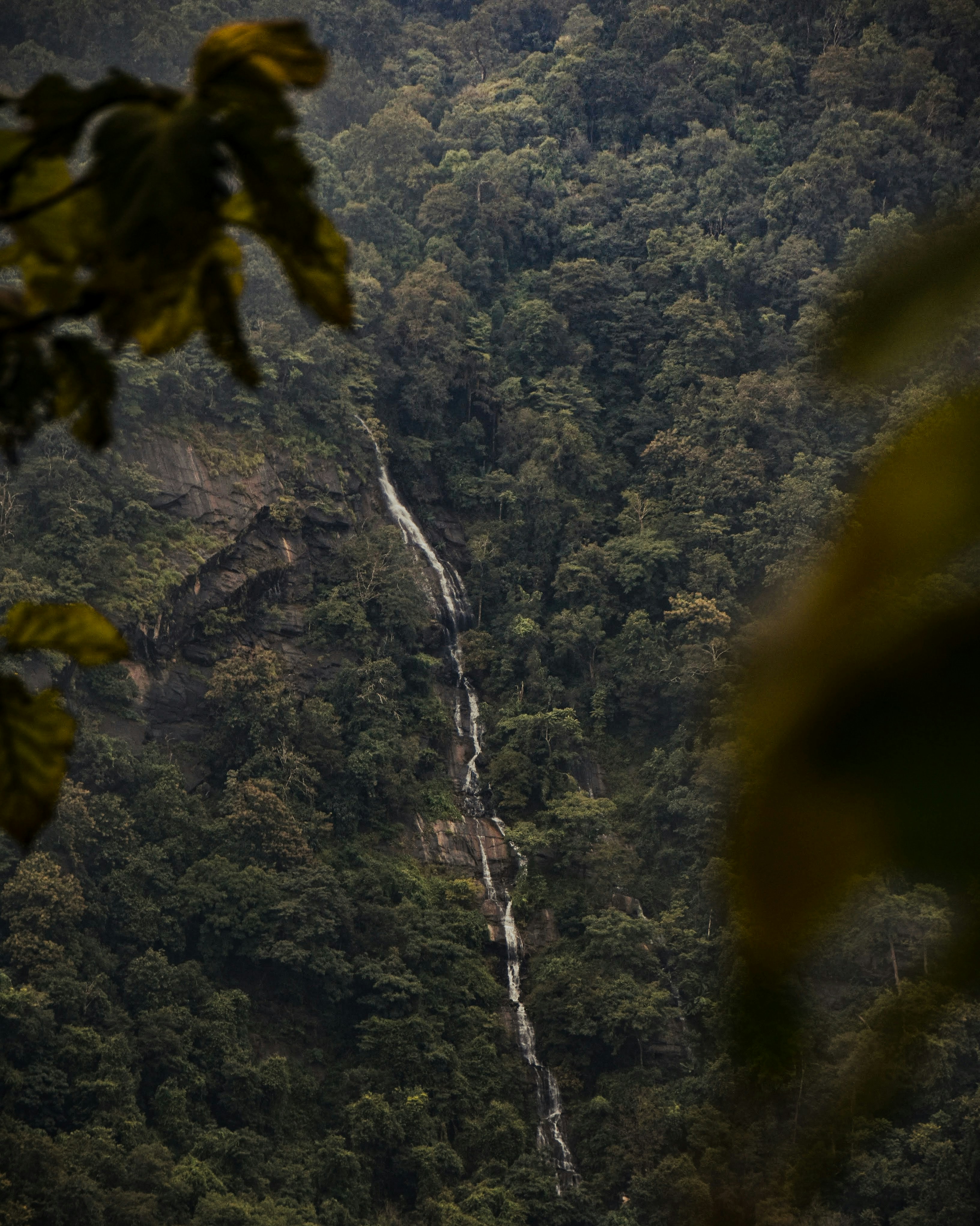 Photo by chandanshastri