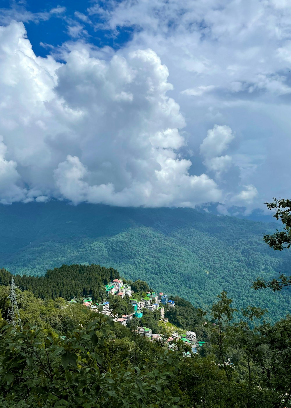 a scenic view of a lush green forest