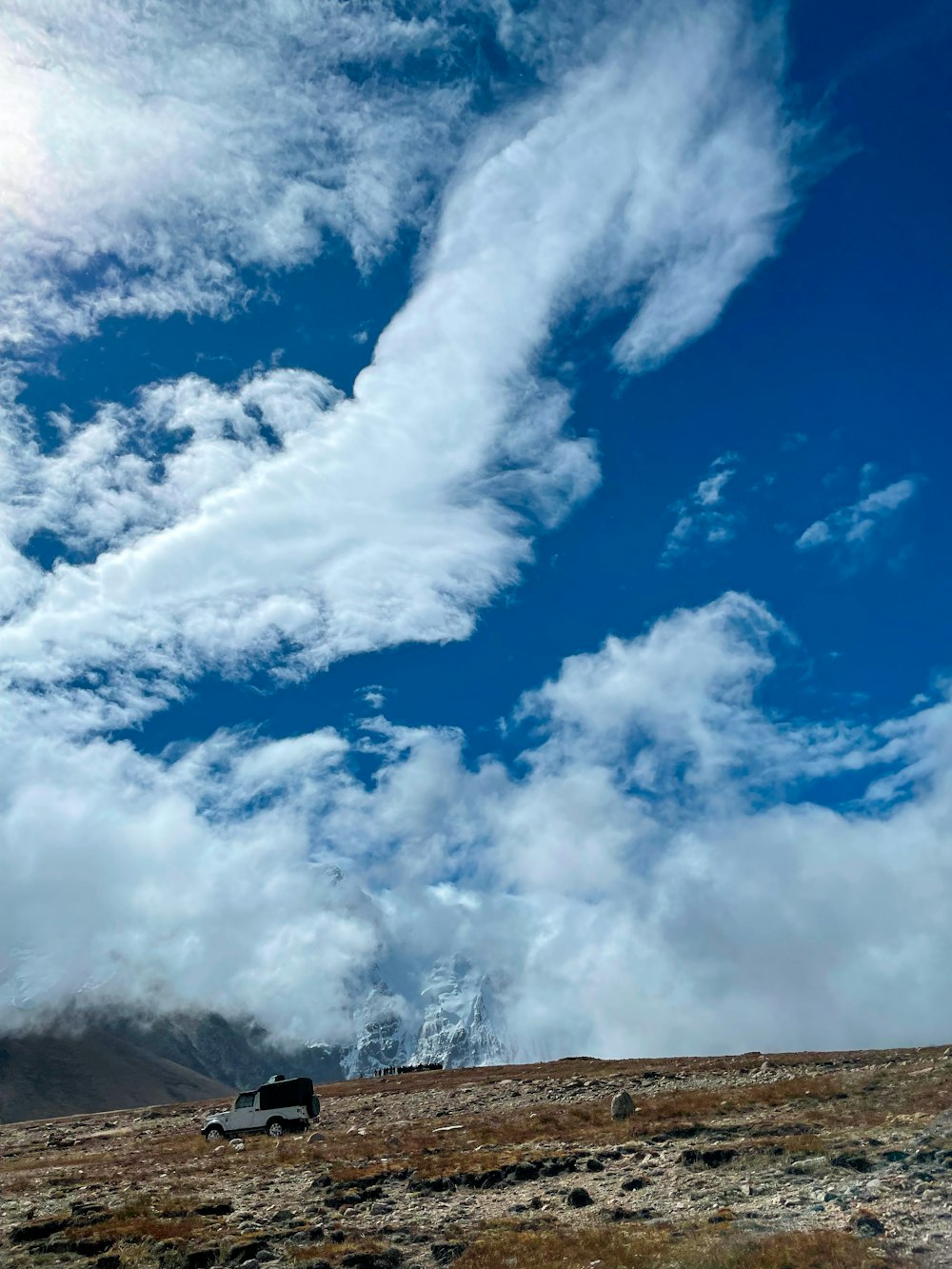 a cow standing on top of a dry grass covered hillside