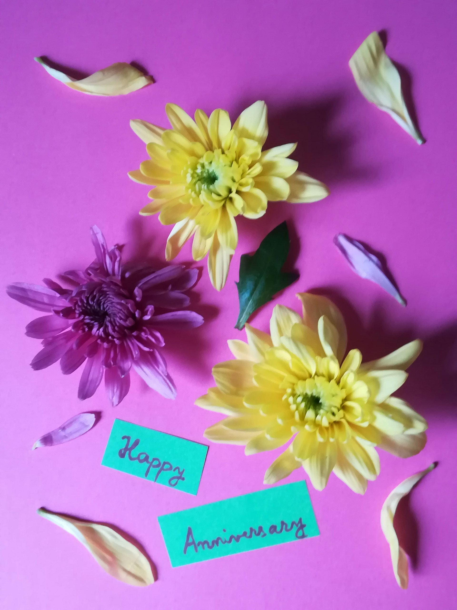 woman wearing yellow long-sleeved dress under white clouds and blue sky during daytime
