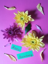 A pink background adorned with two vibrant yellow flowers, a purple flower, scattered petals, and green leaves. A handwritten note with the words 'Happy Anniversary' is placed among the floral arrangement.