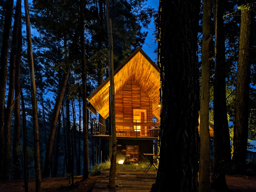 a cabin in the woods lit up at night