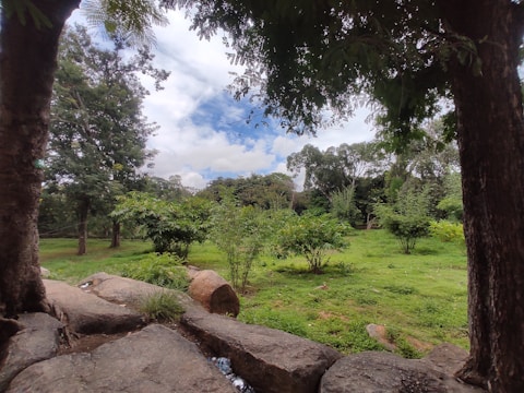 A lush green landscape with various trees and shrubs creates a serene and natural environment. The view is framed by two large trees, with a blue sky and some clouds visible in the background. Rocks are scattered in the foreground, adding texture to the scene.