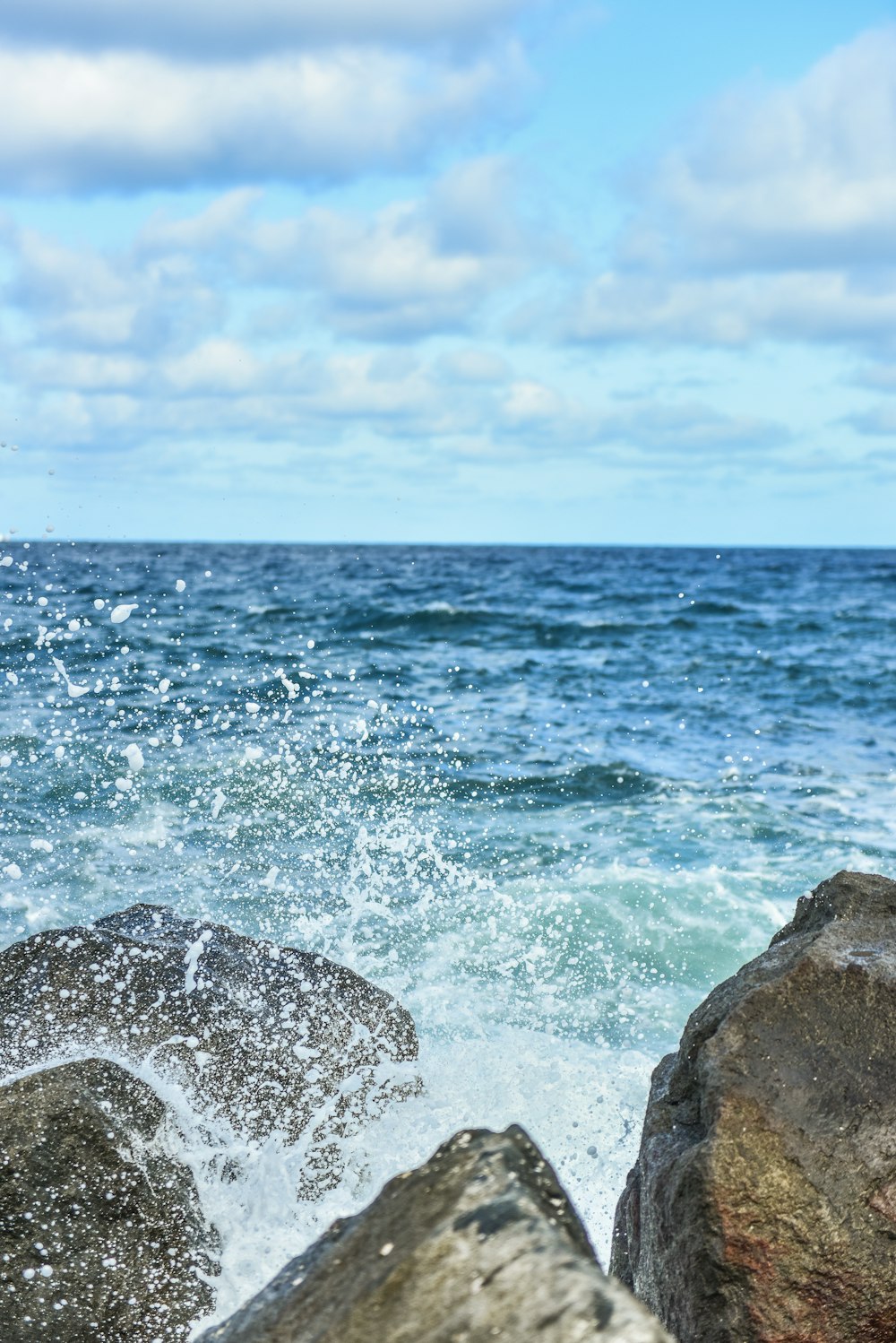 a bird sitting on a rock near the ocean