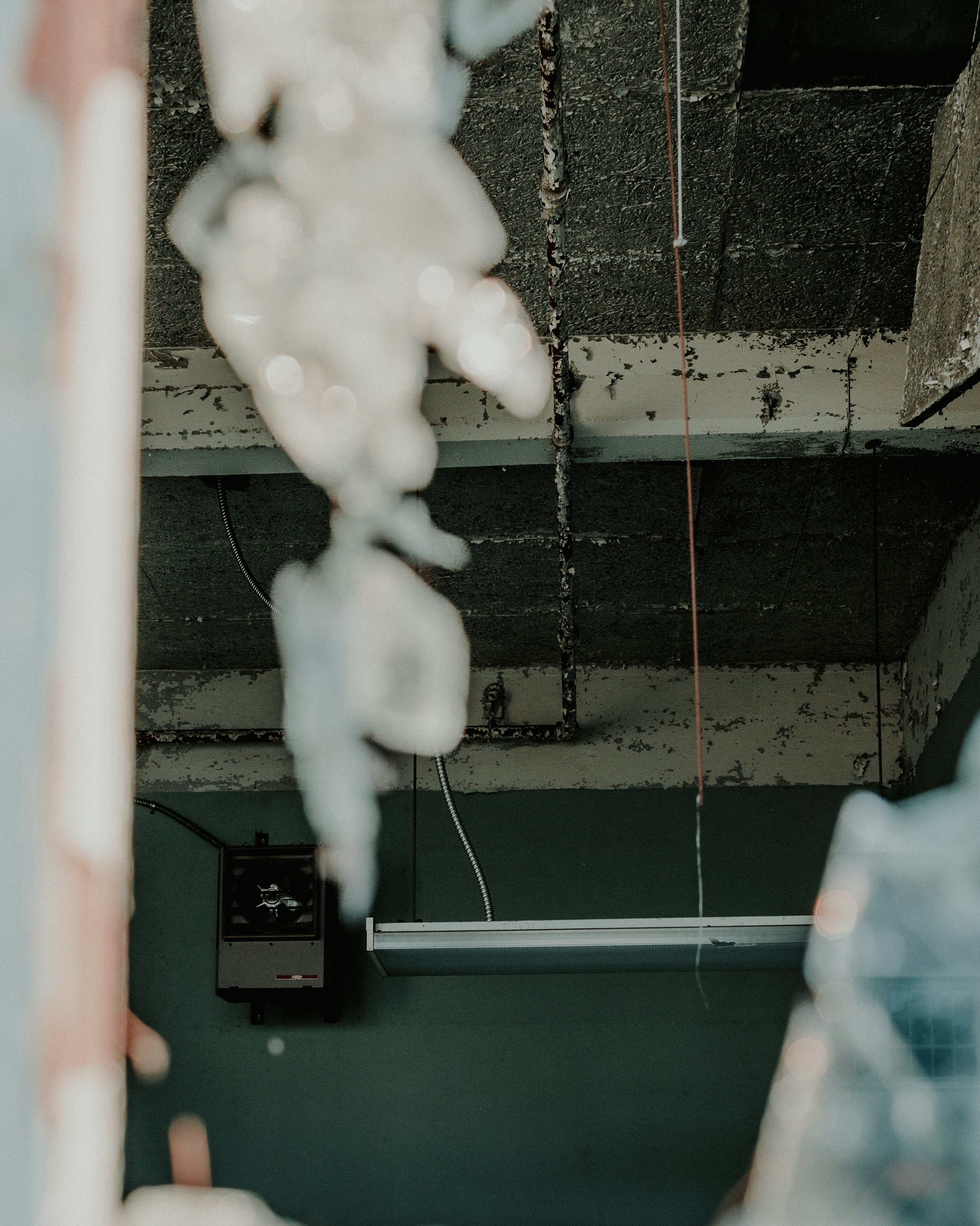 Photo by kalaniparker