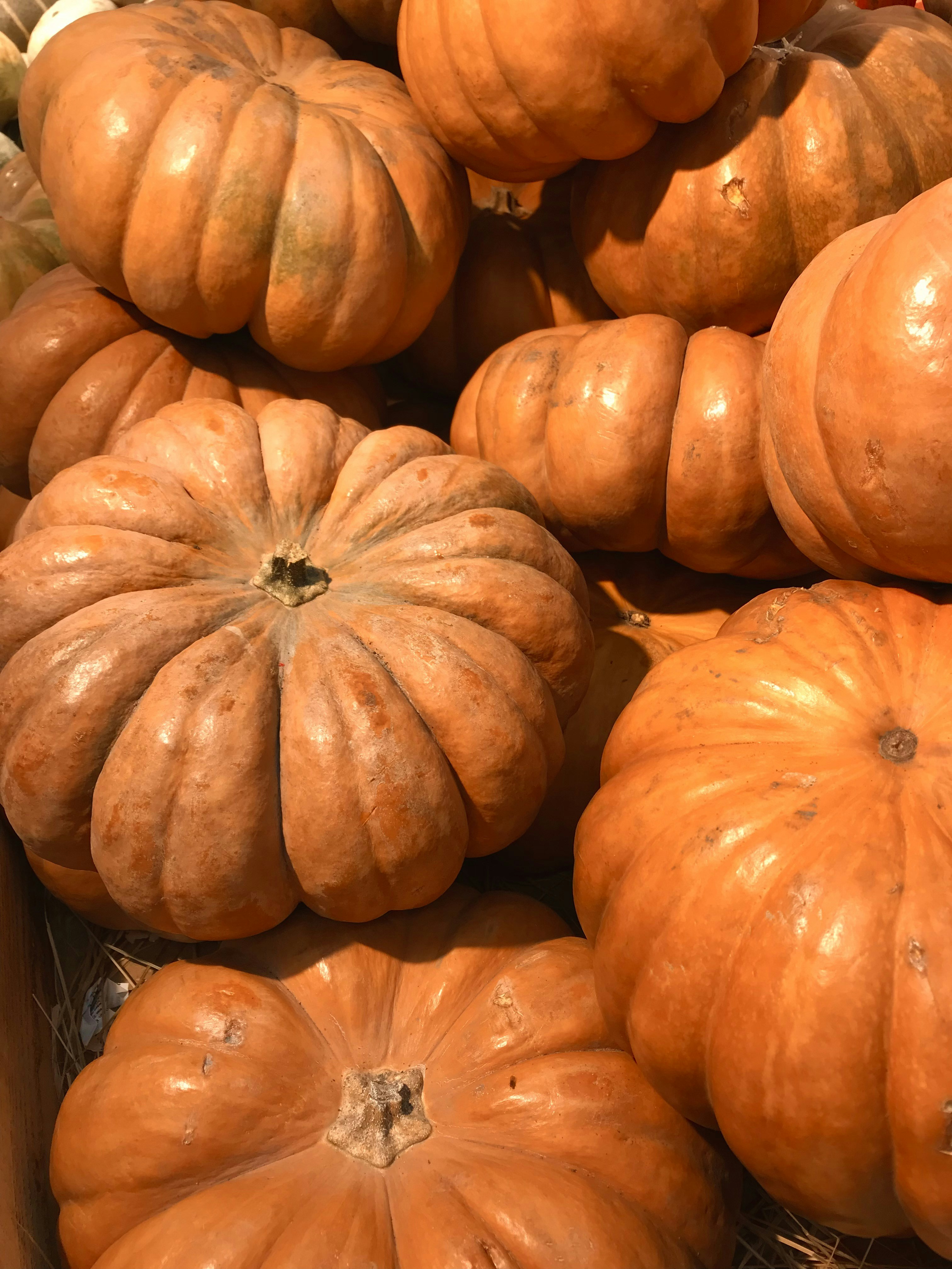 Photo by valeria_voevodina