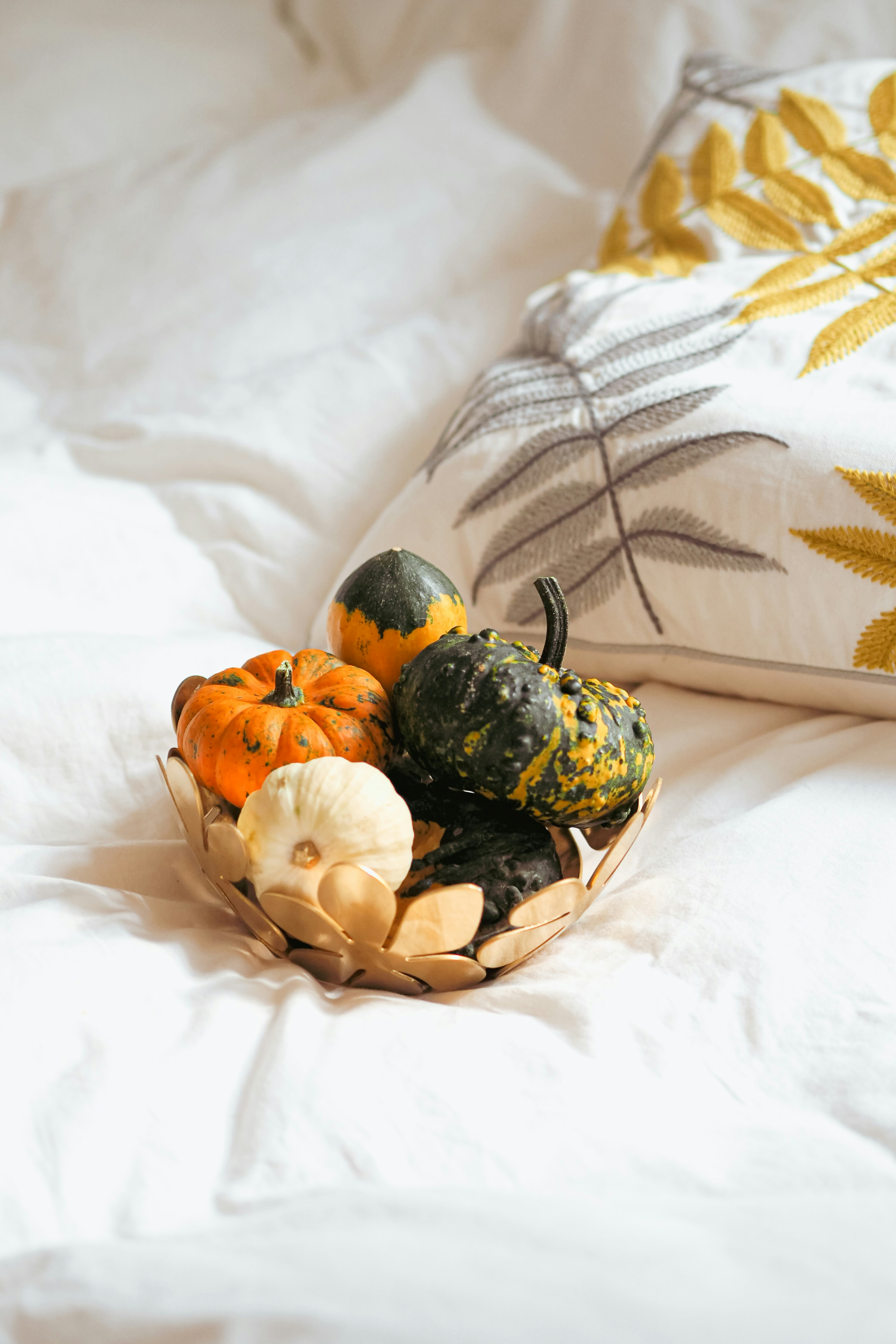 Photo by laurachouette