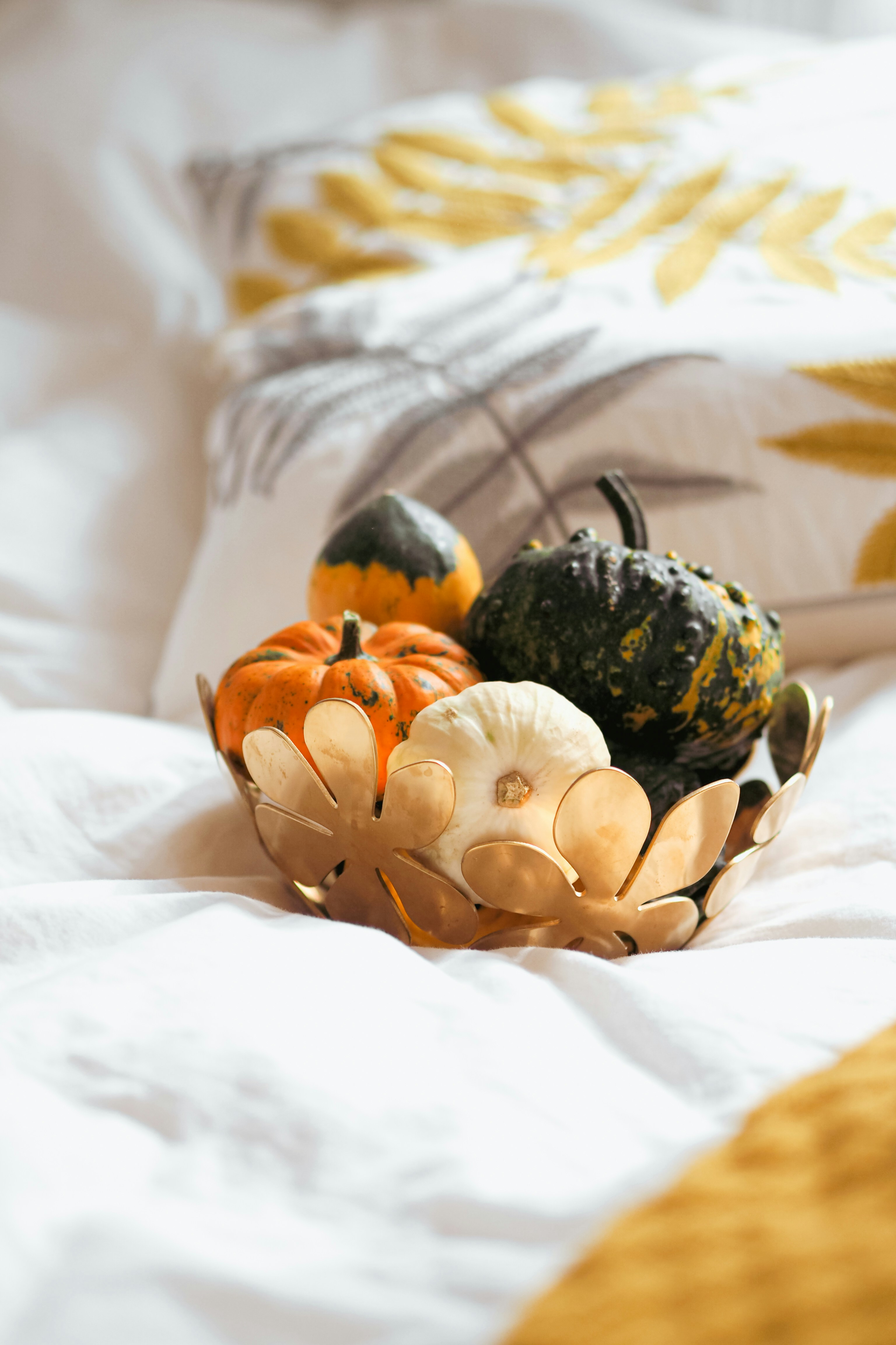 Photo by laurachouette