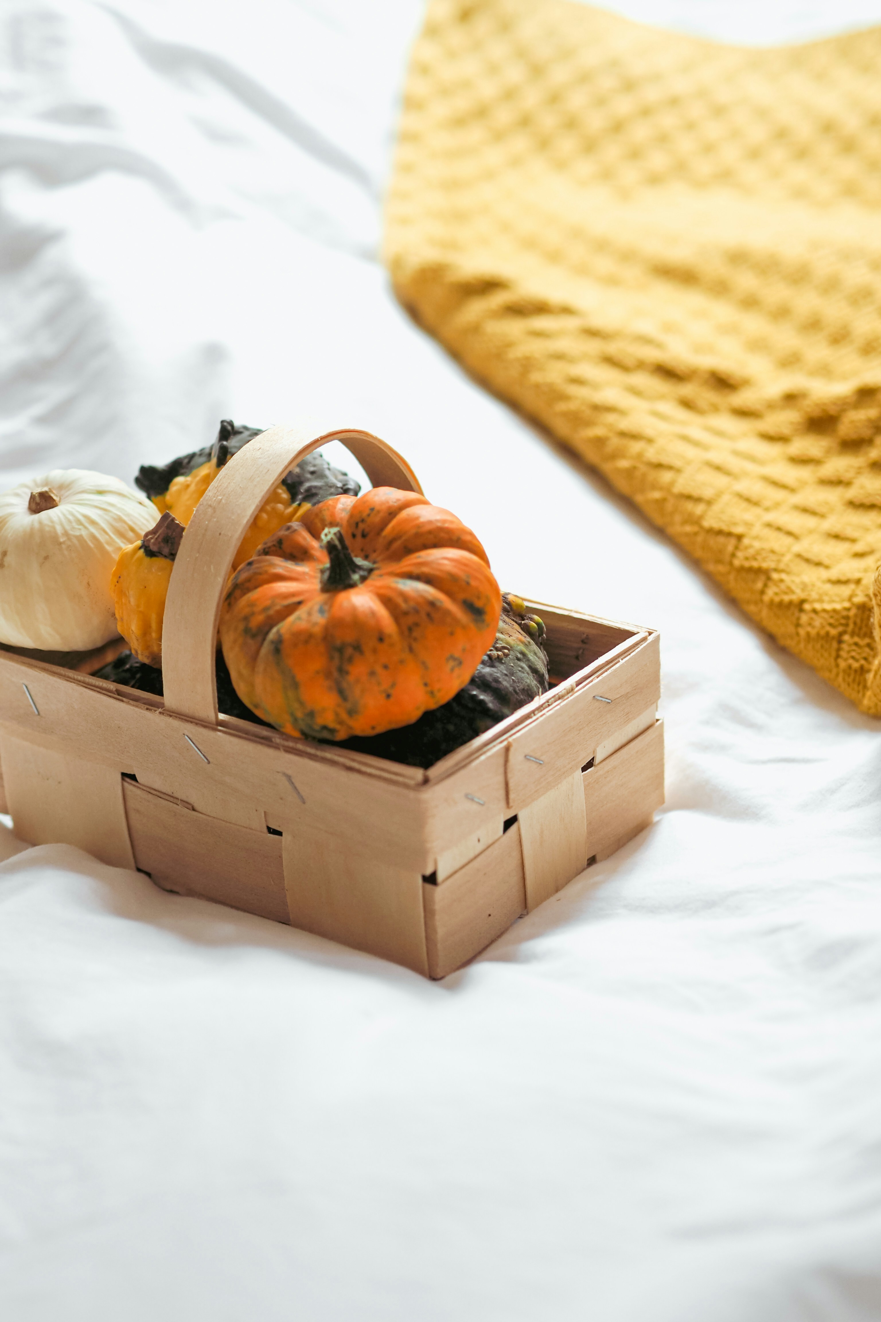 Photo by laurachouette