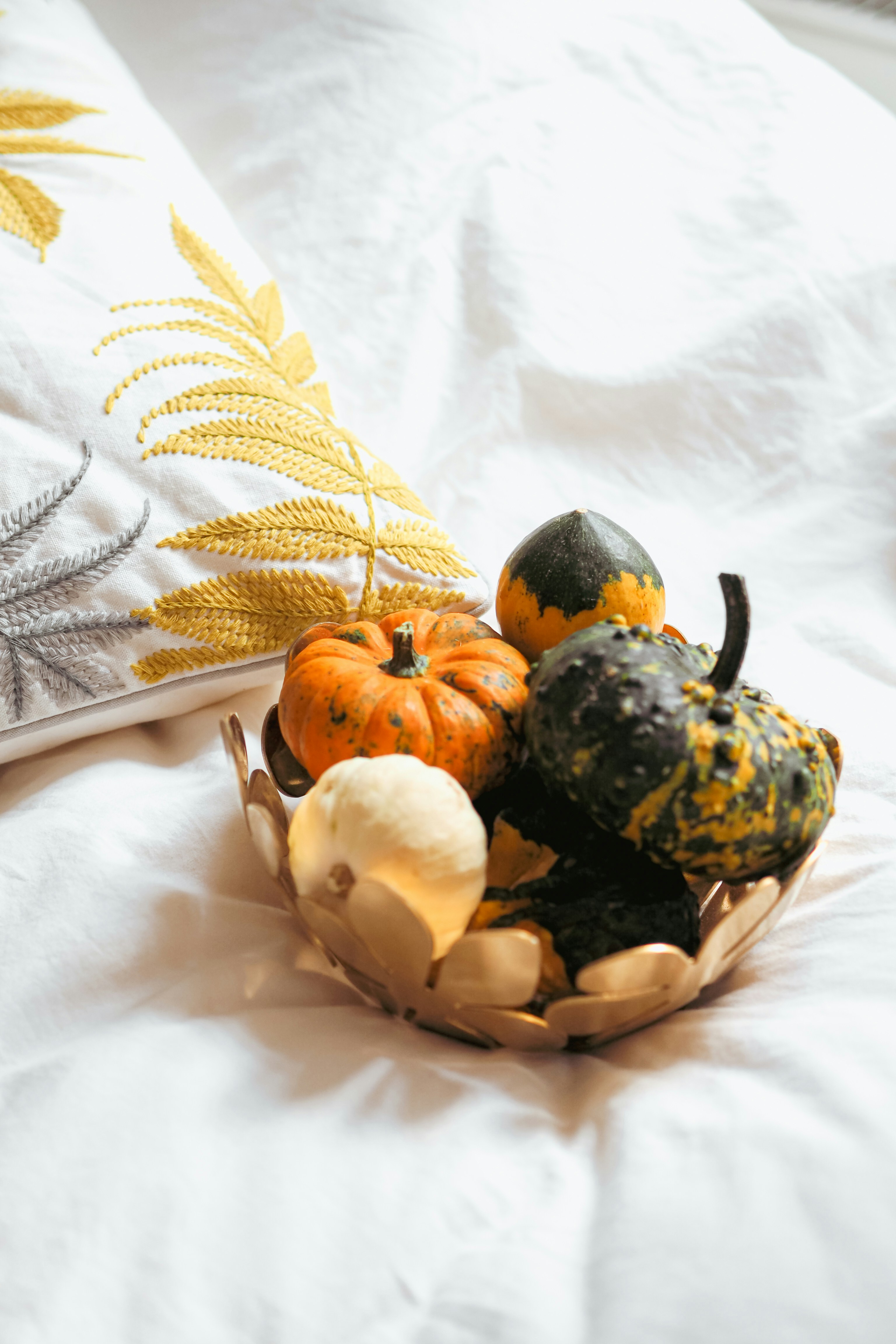 Photo by laurachouette