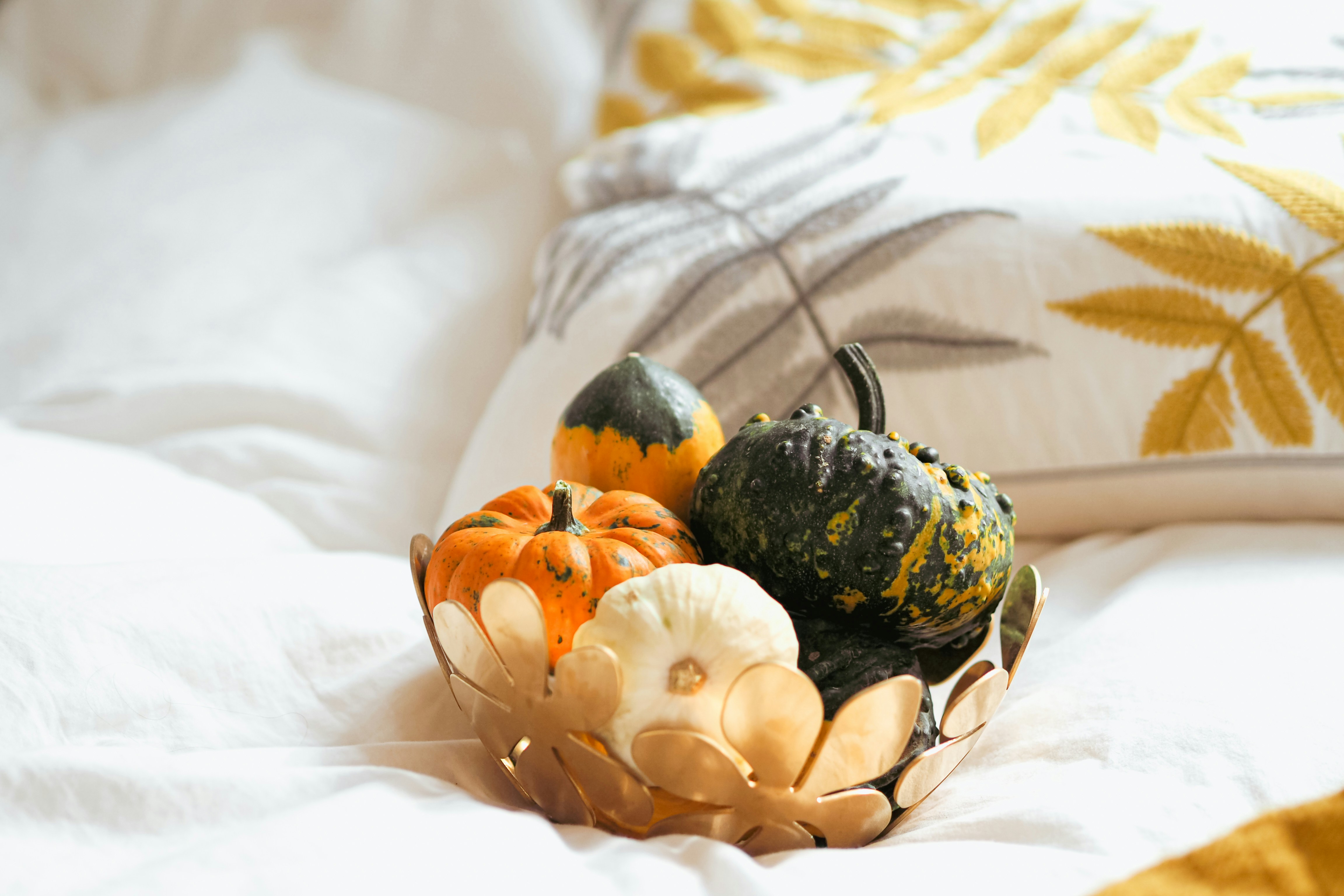 Photo by laurachouette