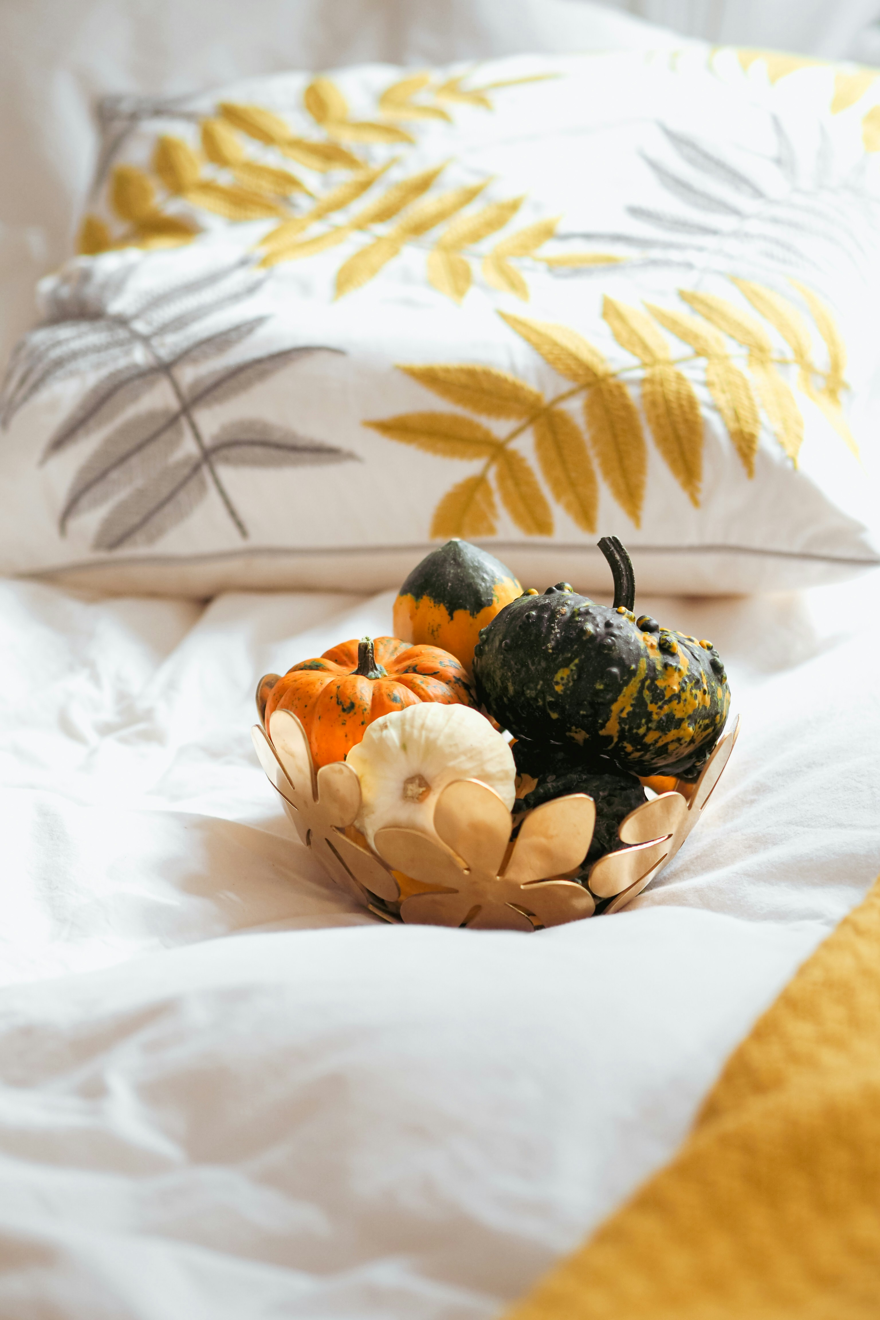 Photo by laurachouette