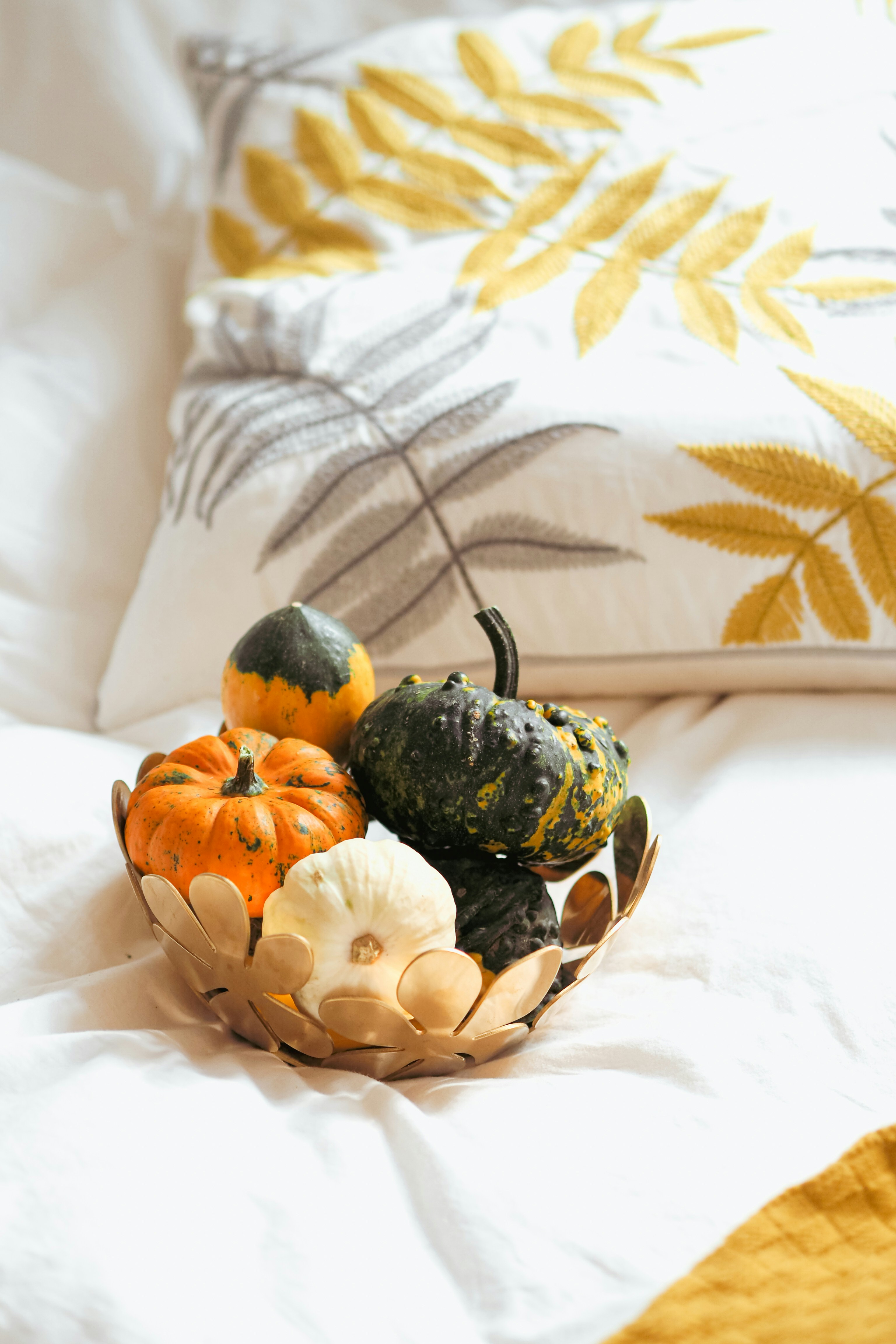 Photo by laurachouette