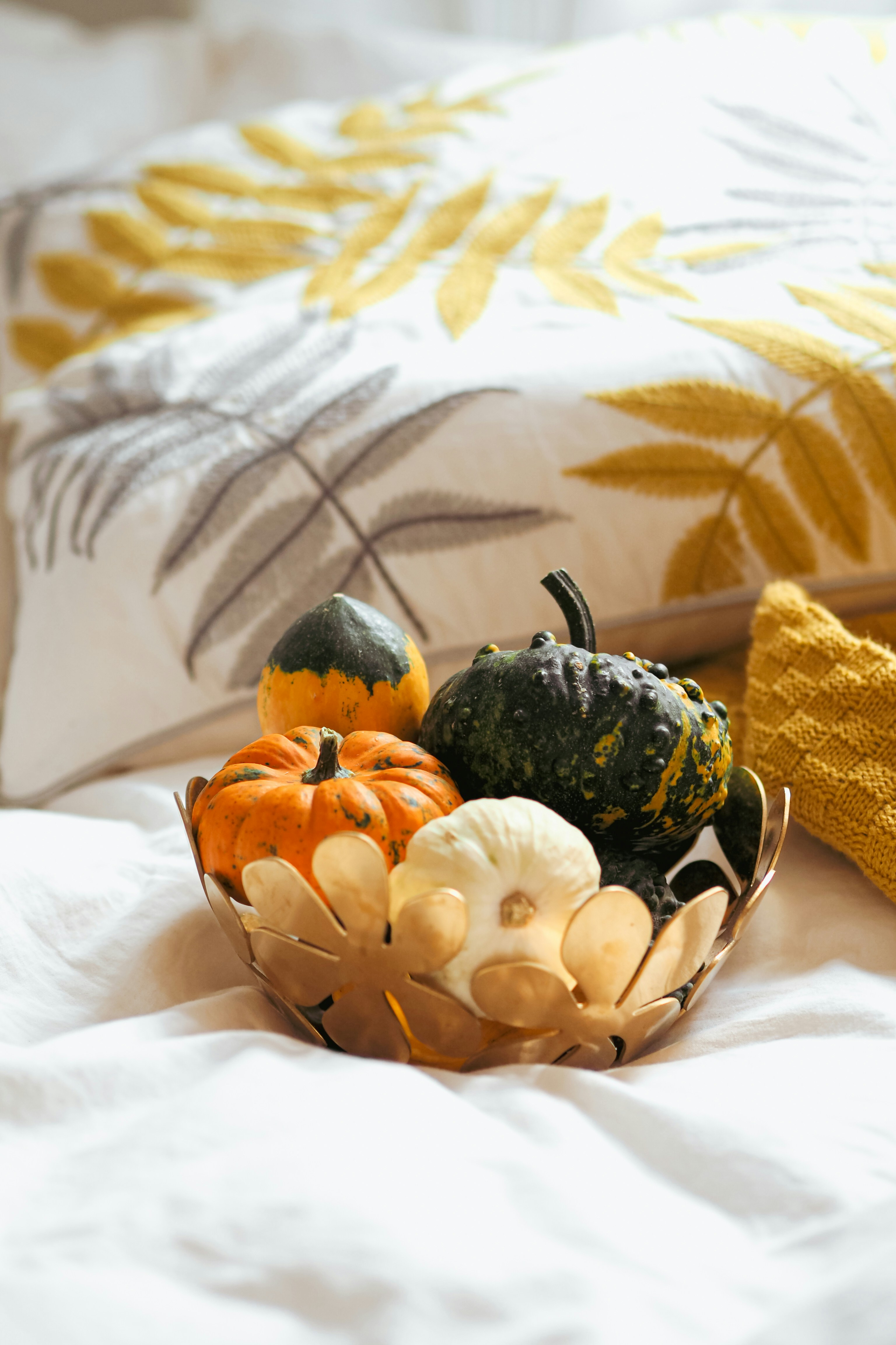 Photo by laurachouette