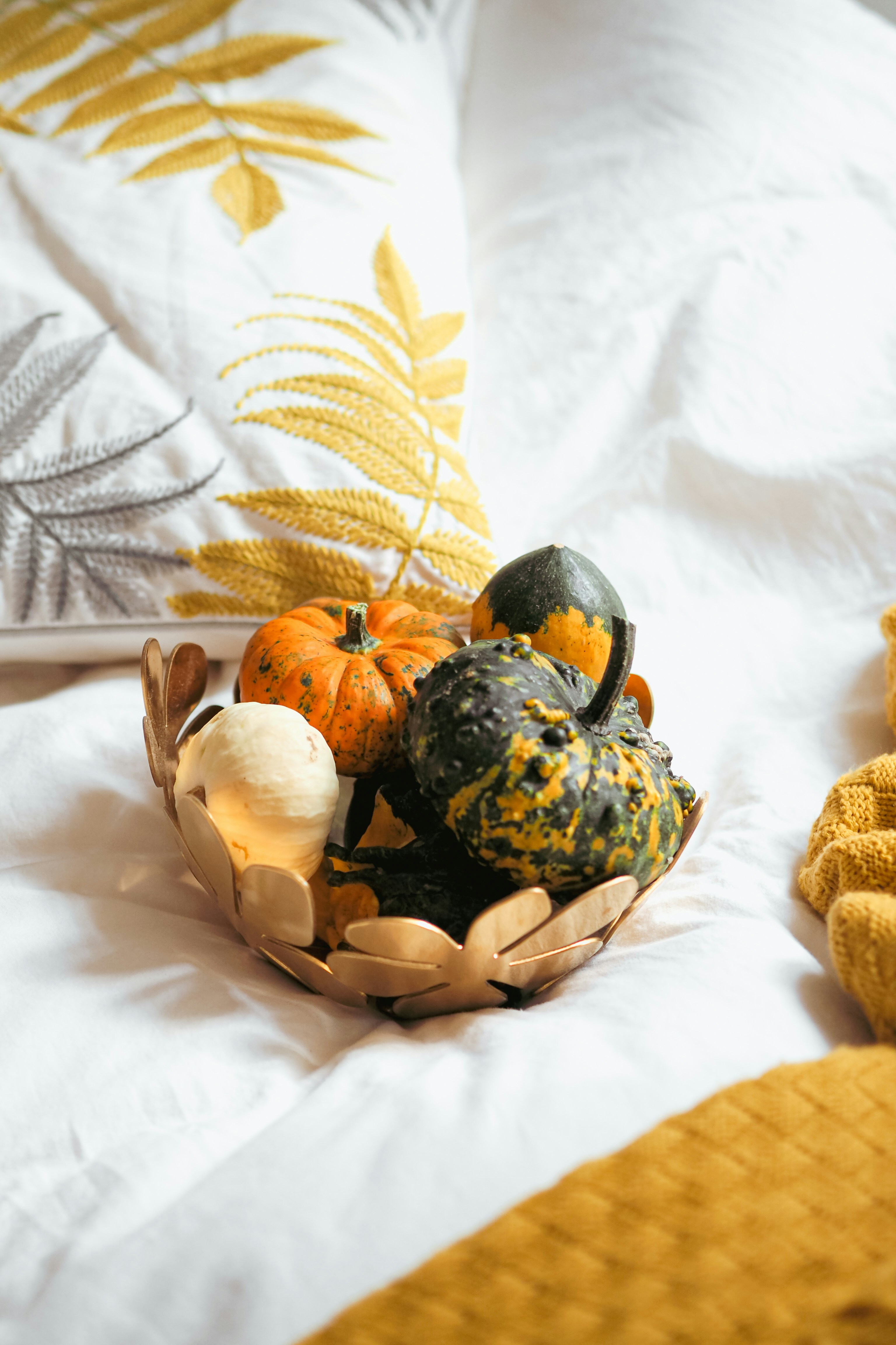 Photo by laurachouette