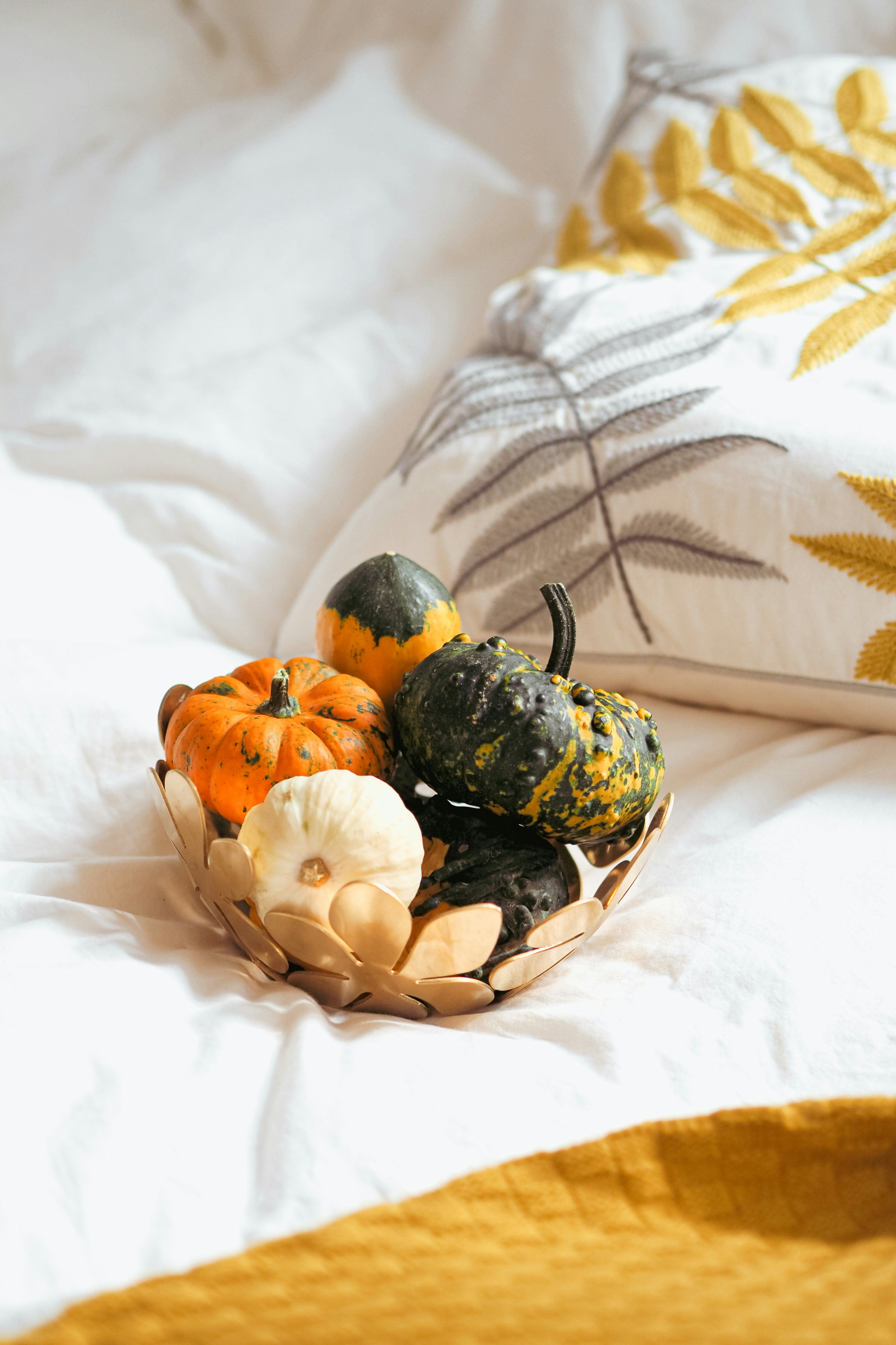 Photo by laurachouette