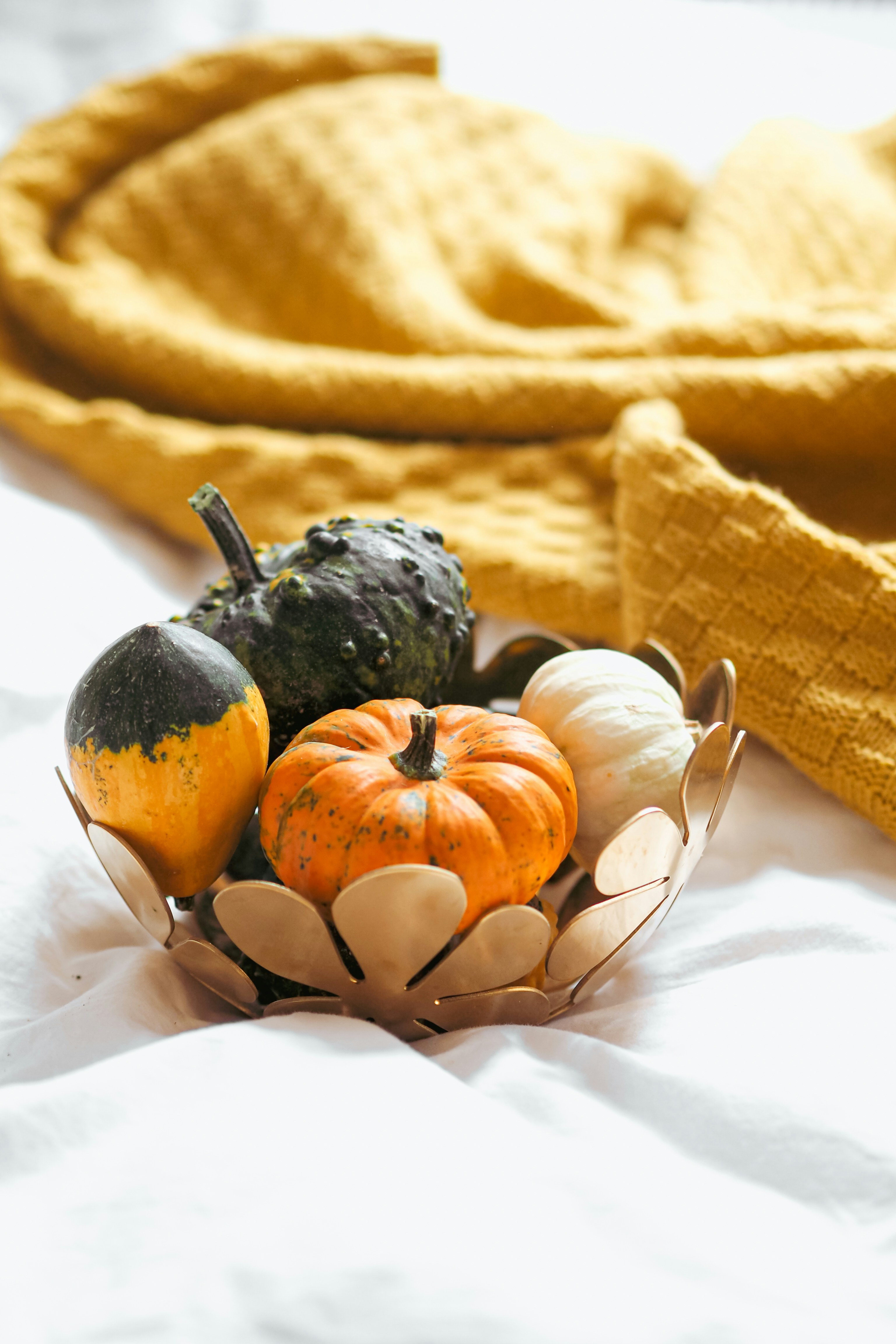 Photo by laurachouette