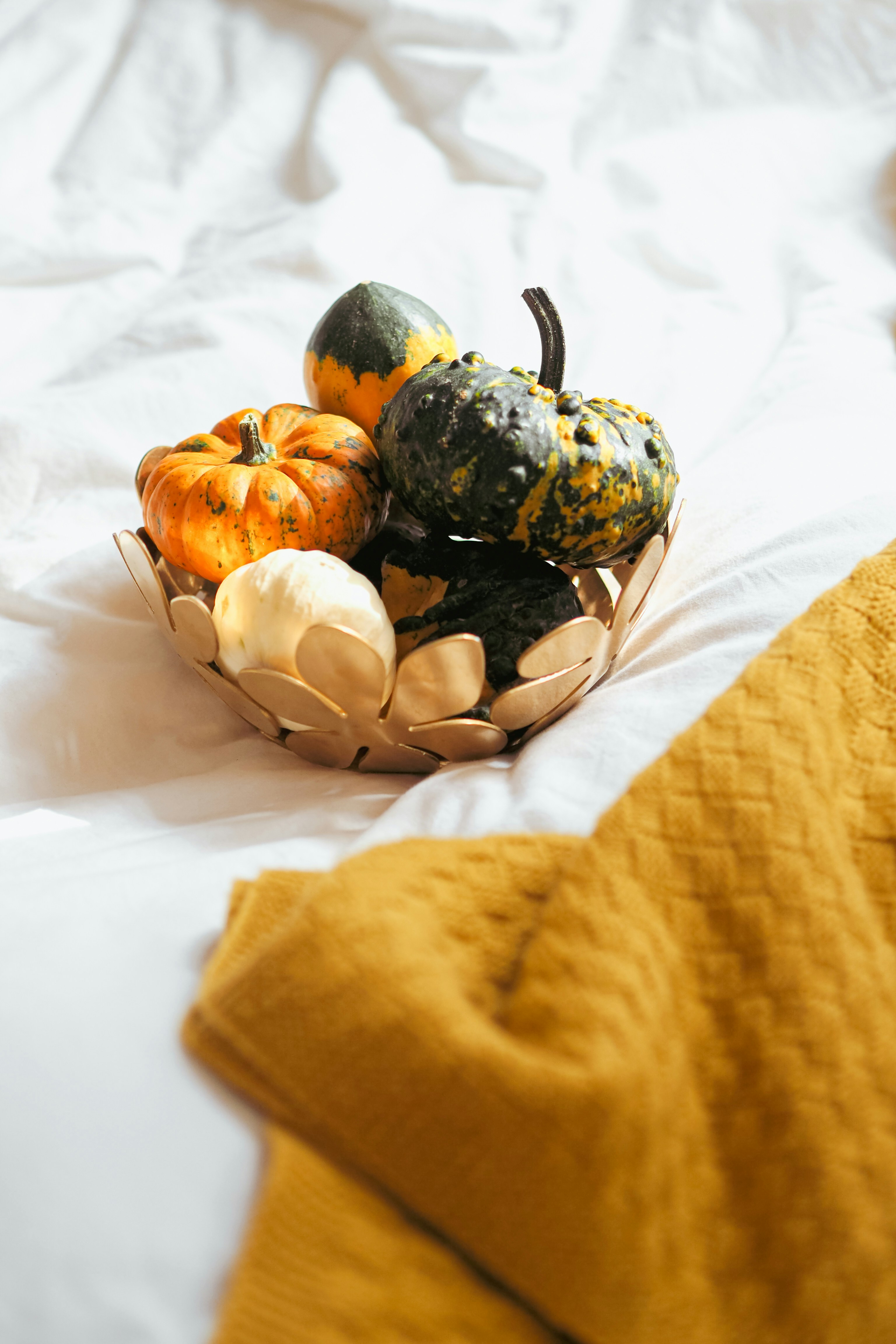 Photo by laurachouette