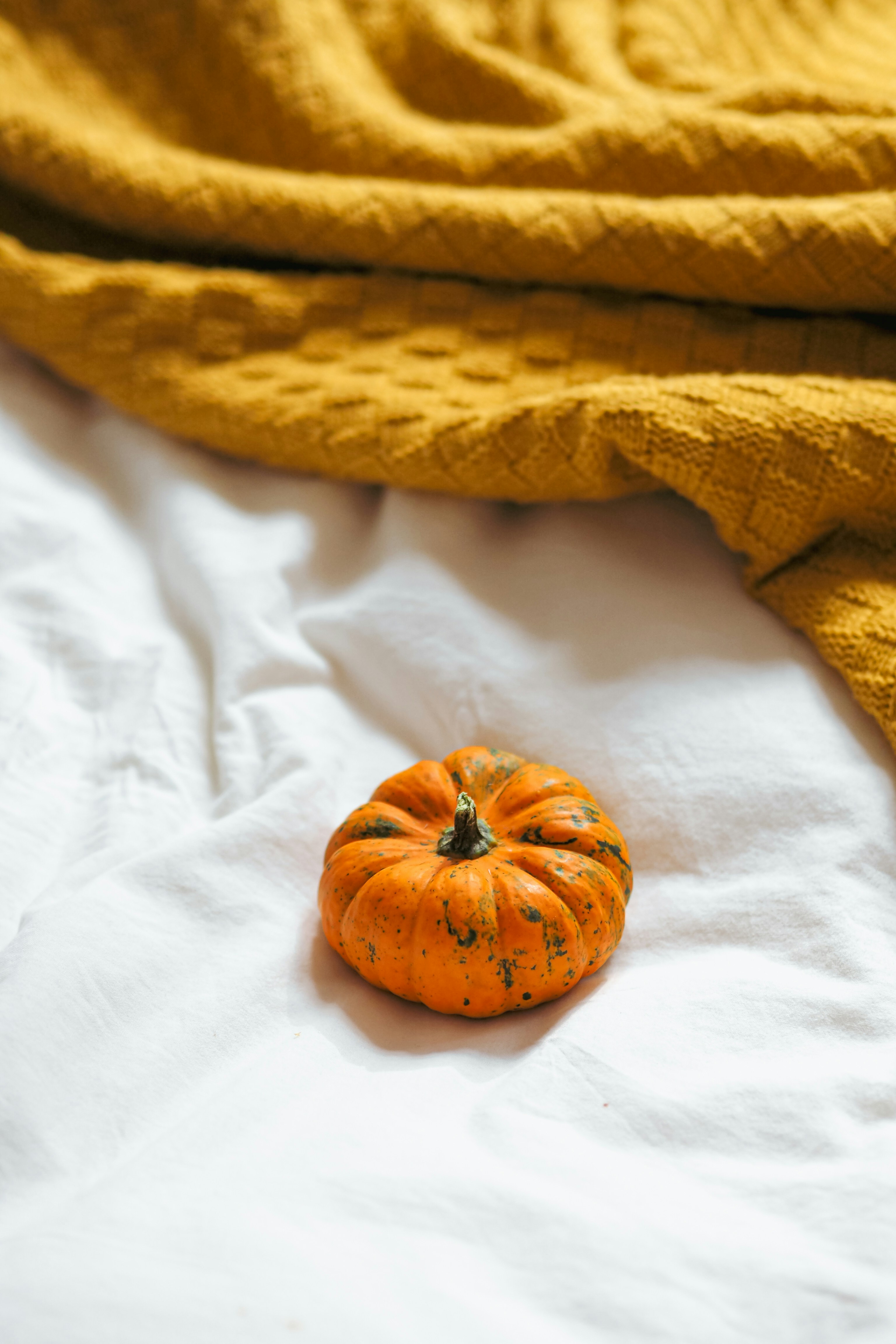 Photo by laurachouette