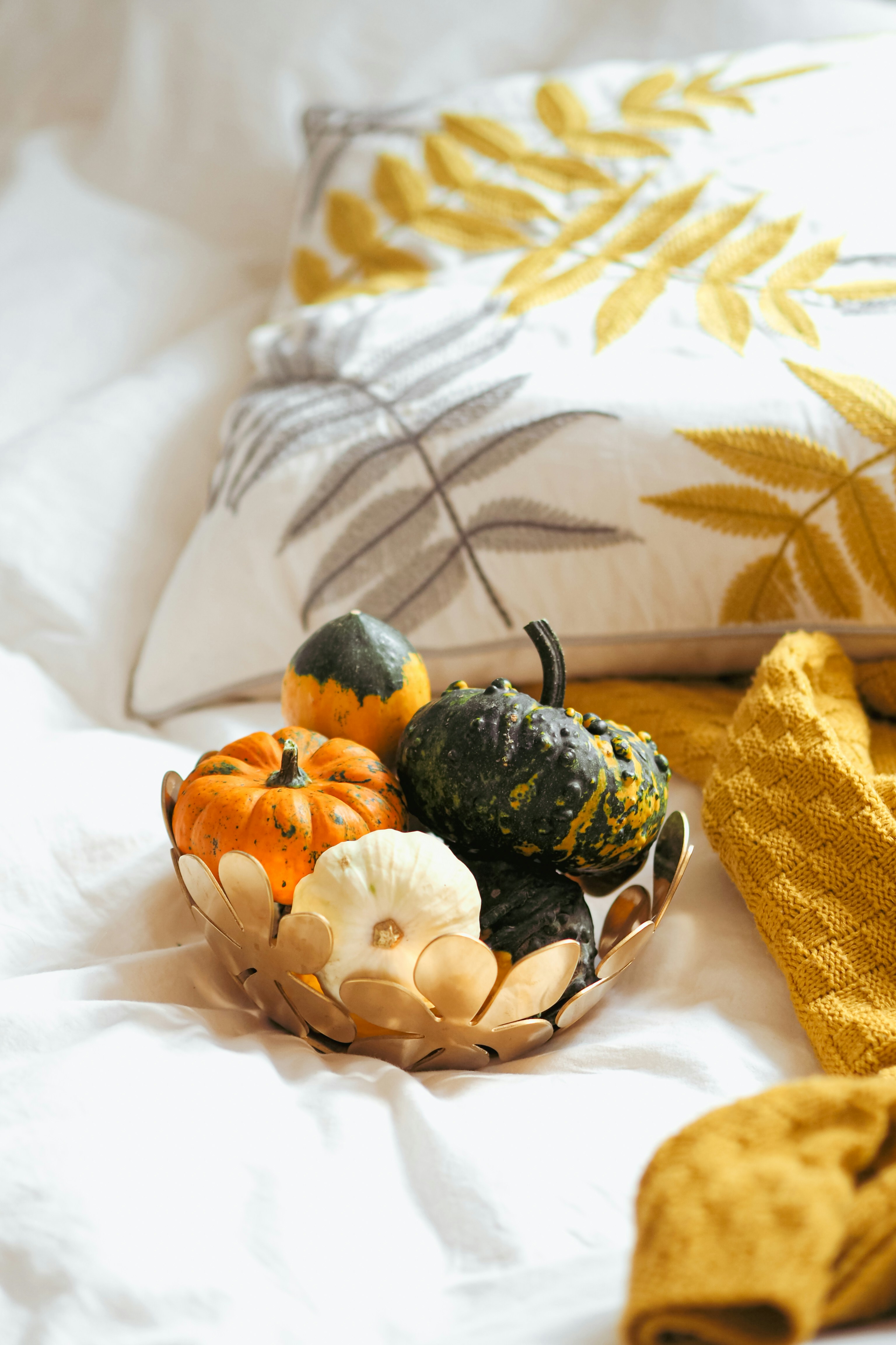 Photo by laurachouette