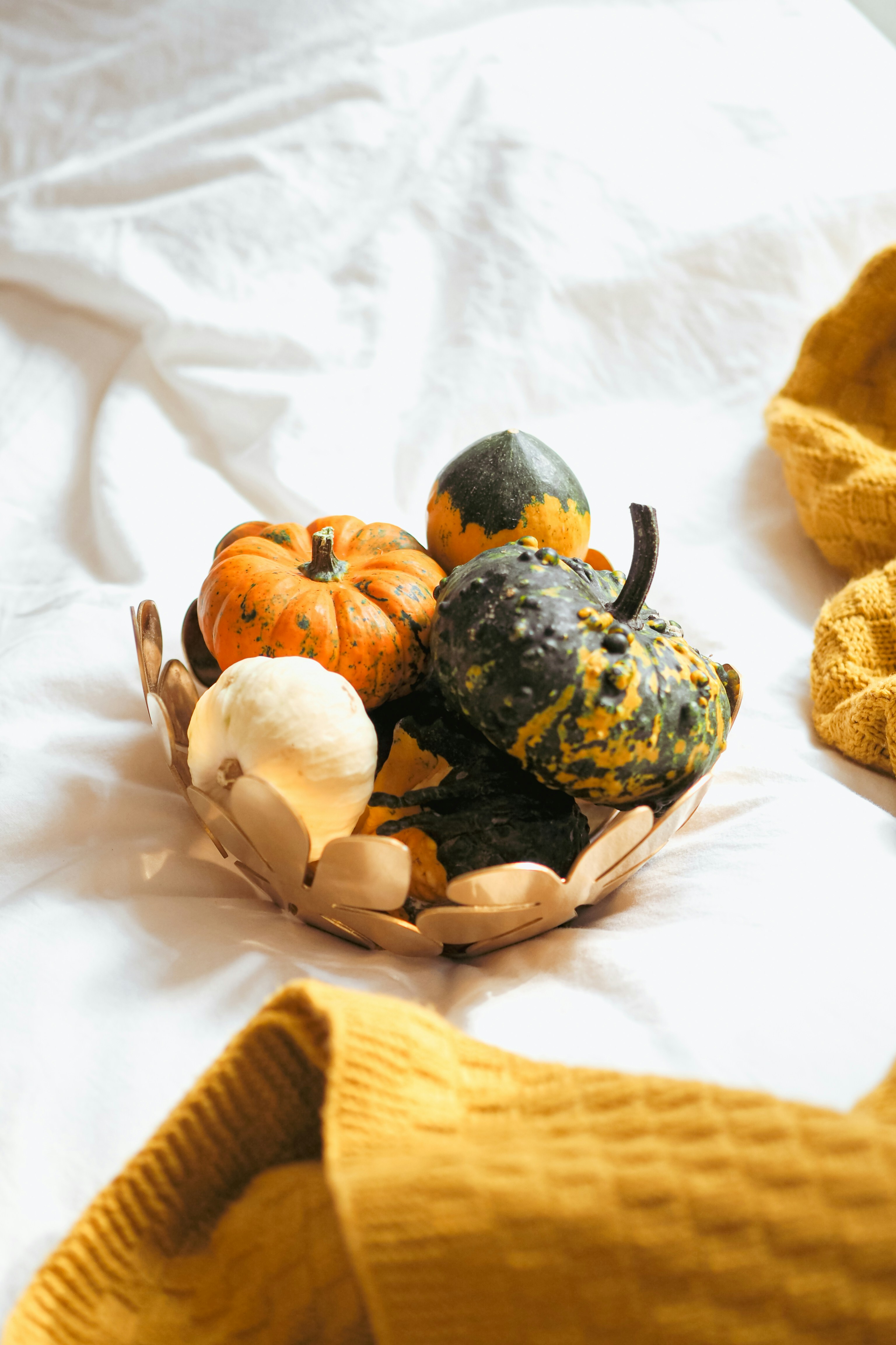 Photo by laurachouette