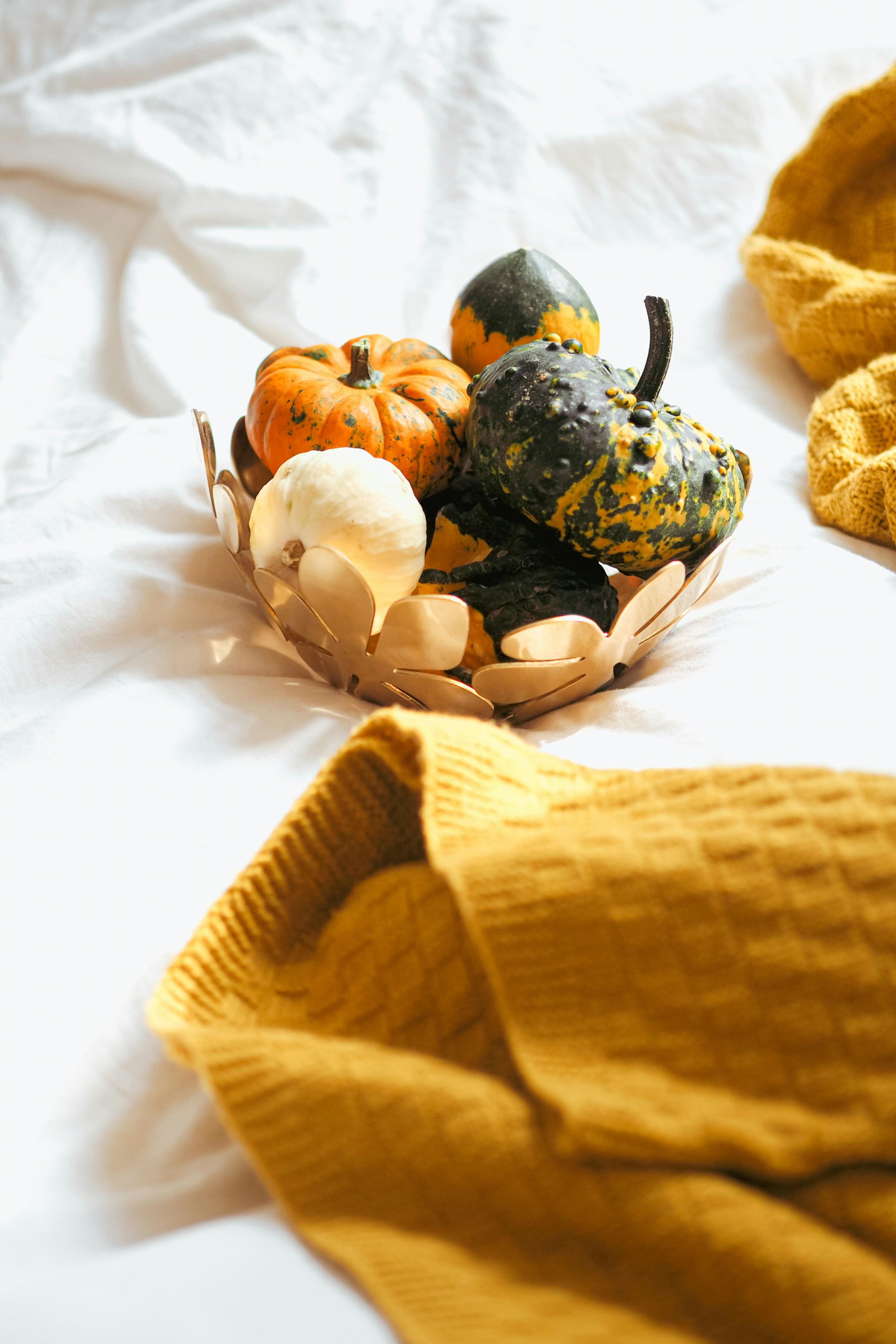 Photo by laurachouette