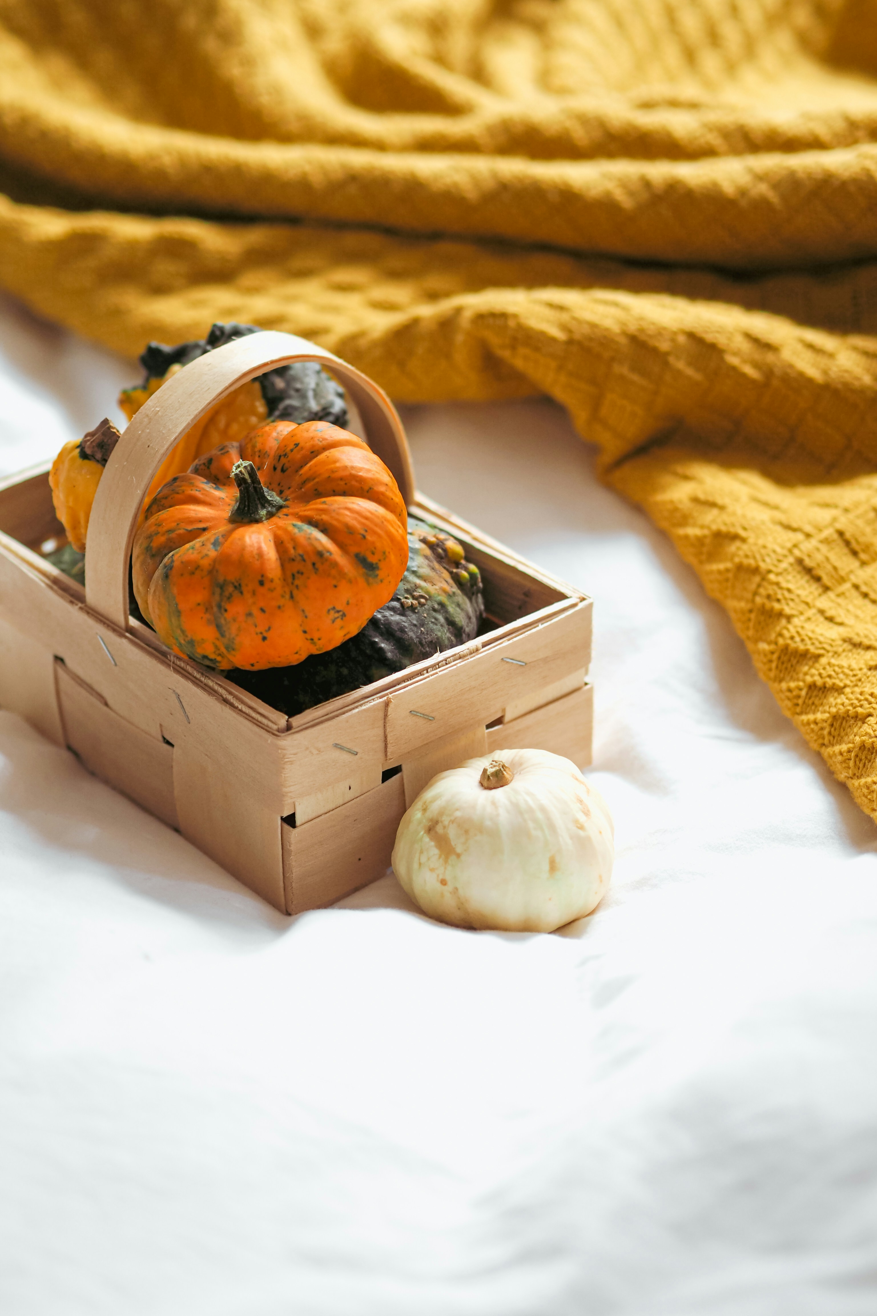 Photo by laurachouette