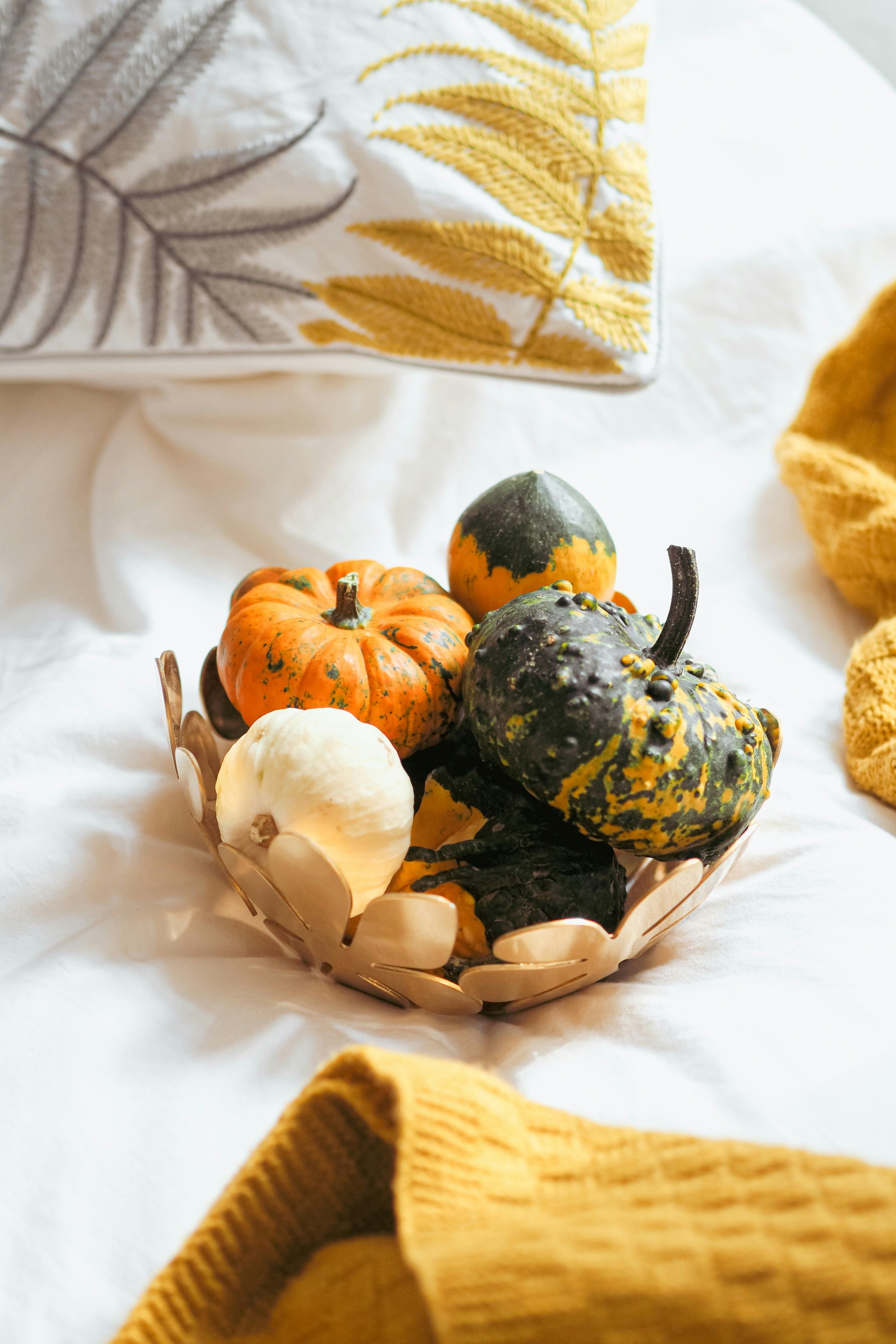 Photo by laurachouette